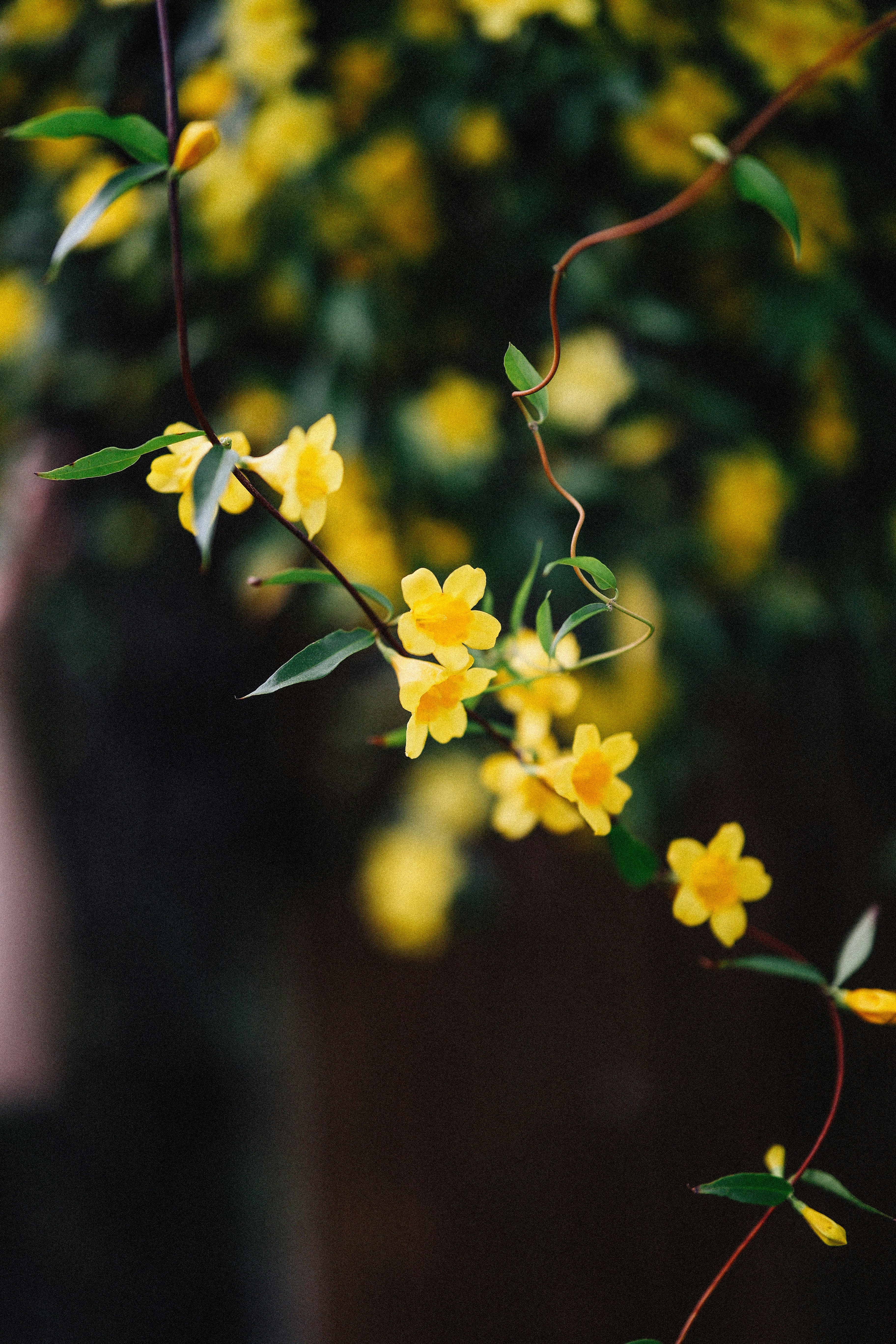 Photo by brookebalentine