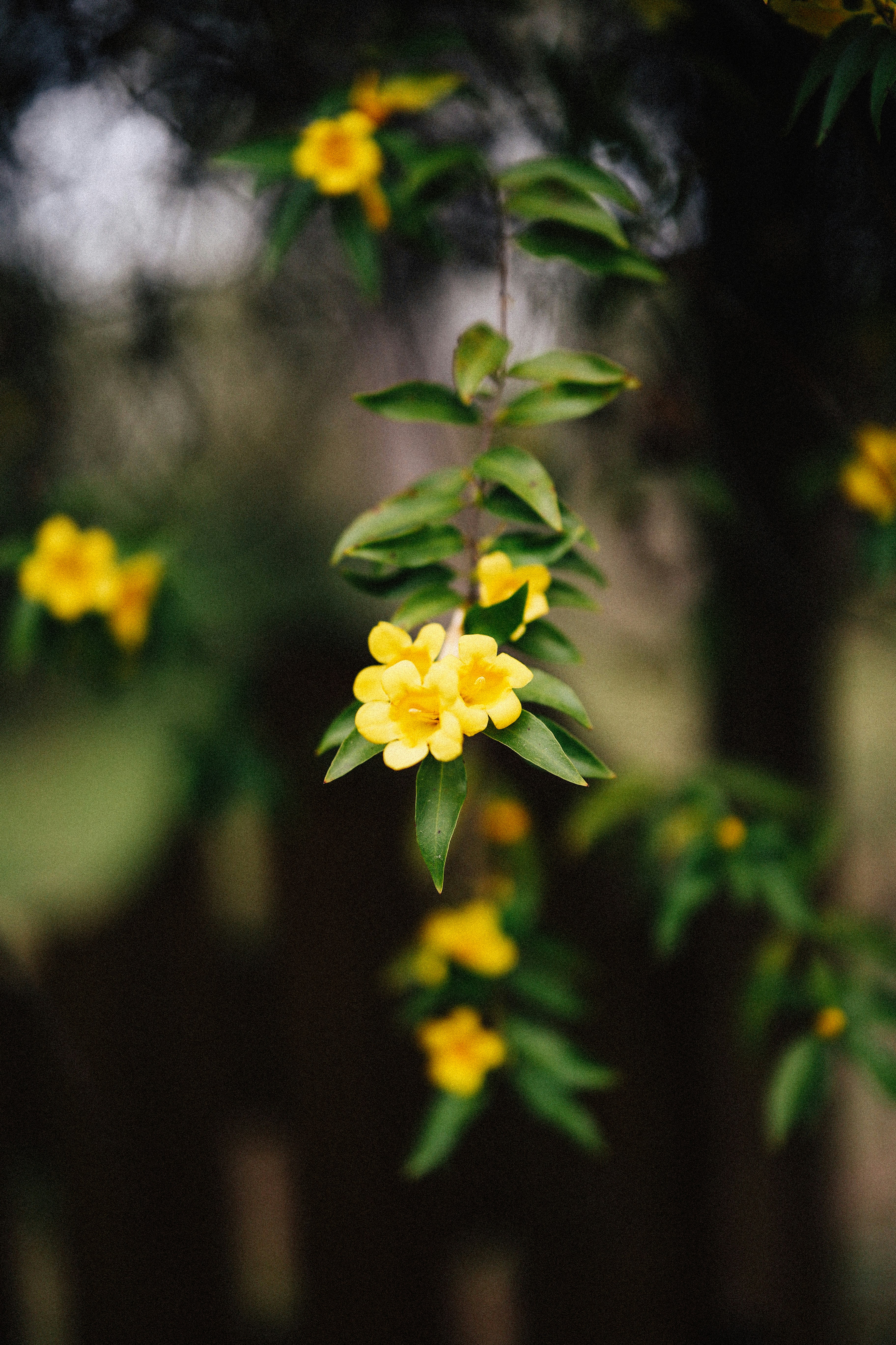 Photo by brookebalentine