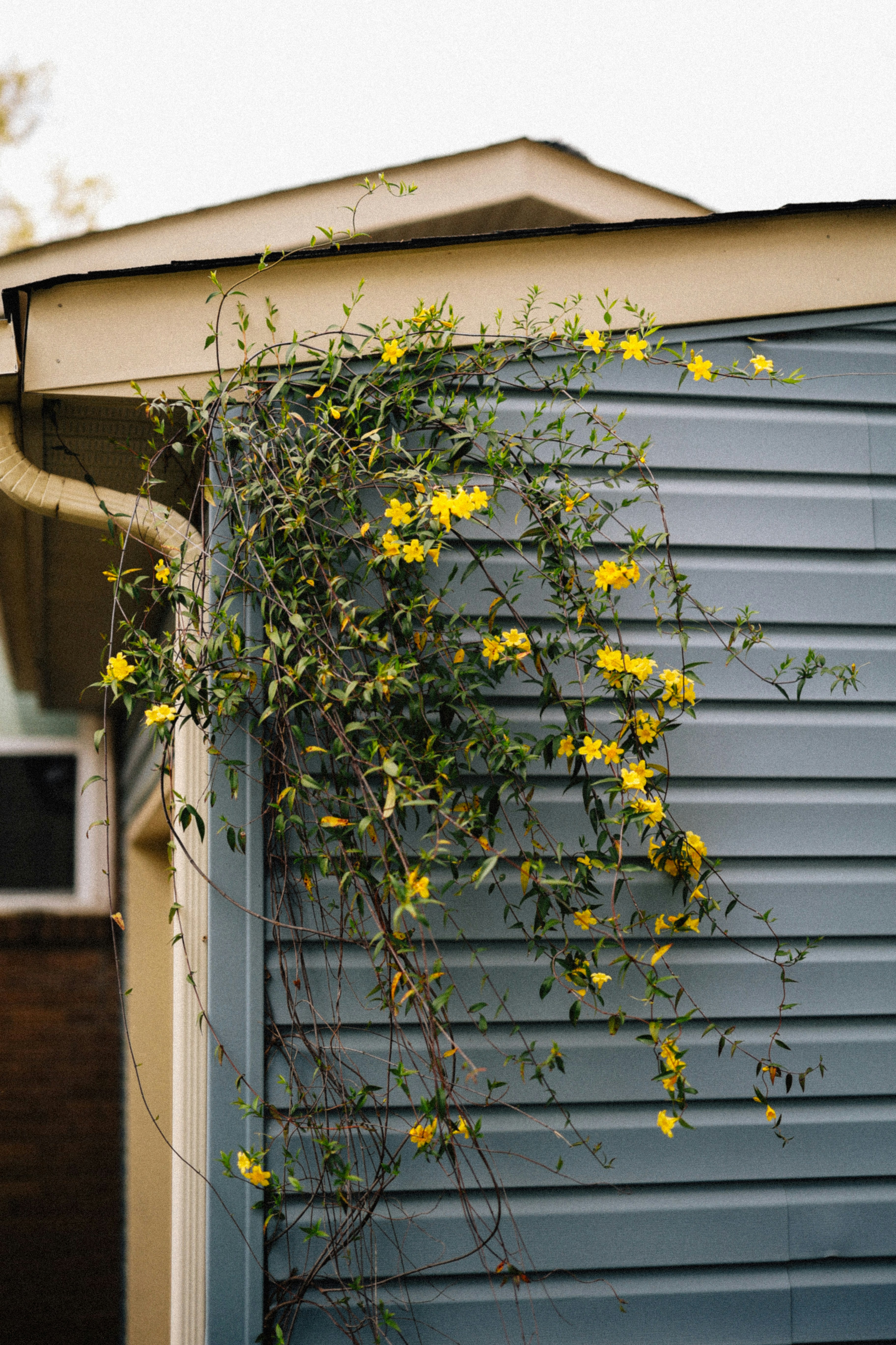 Photo by brookebalentine