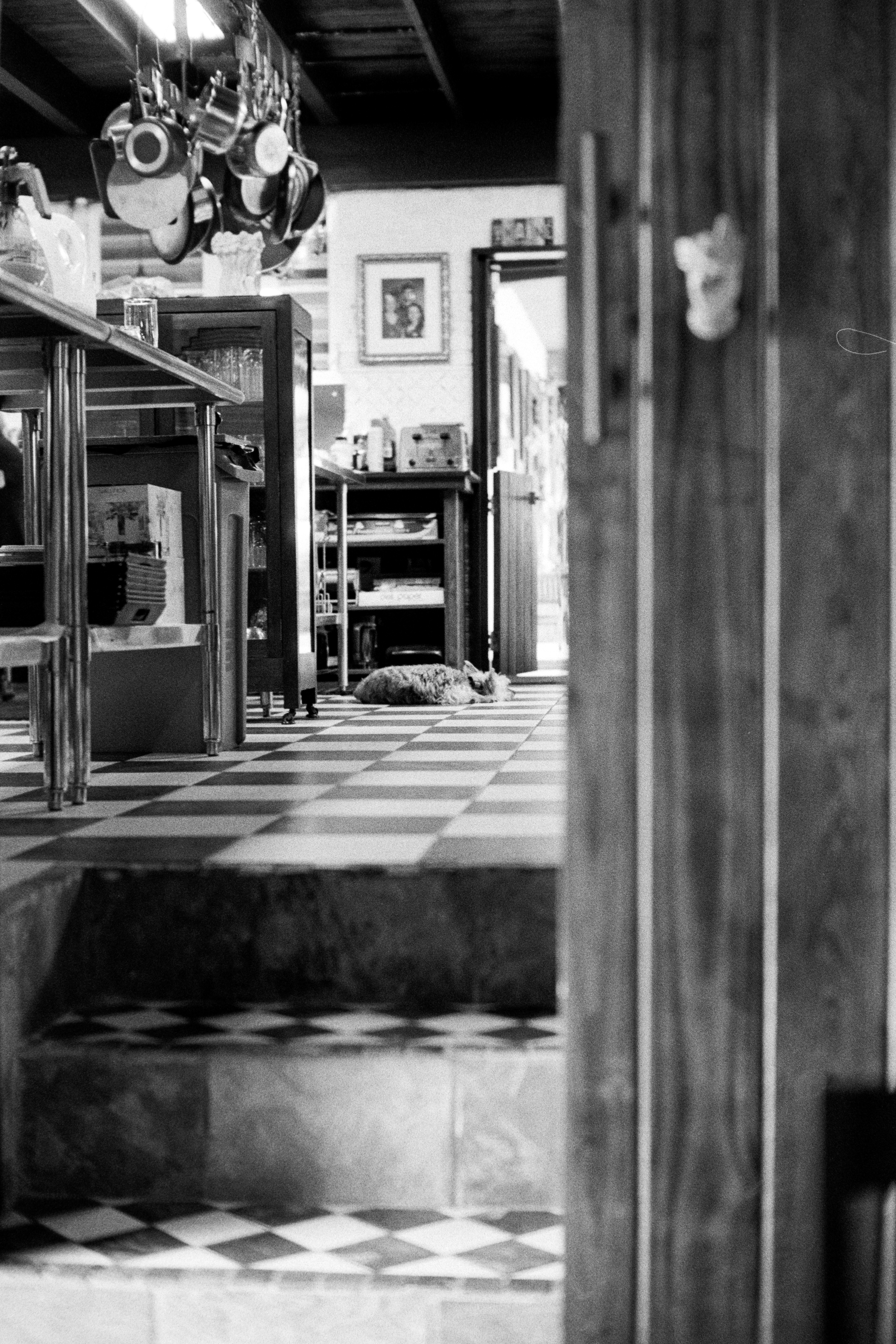 Photo by christianbalentine