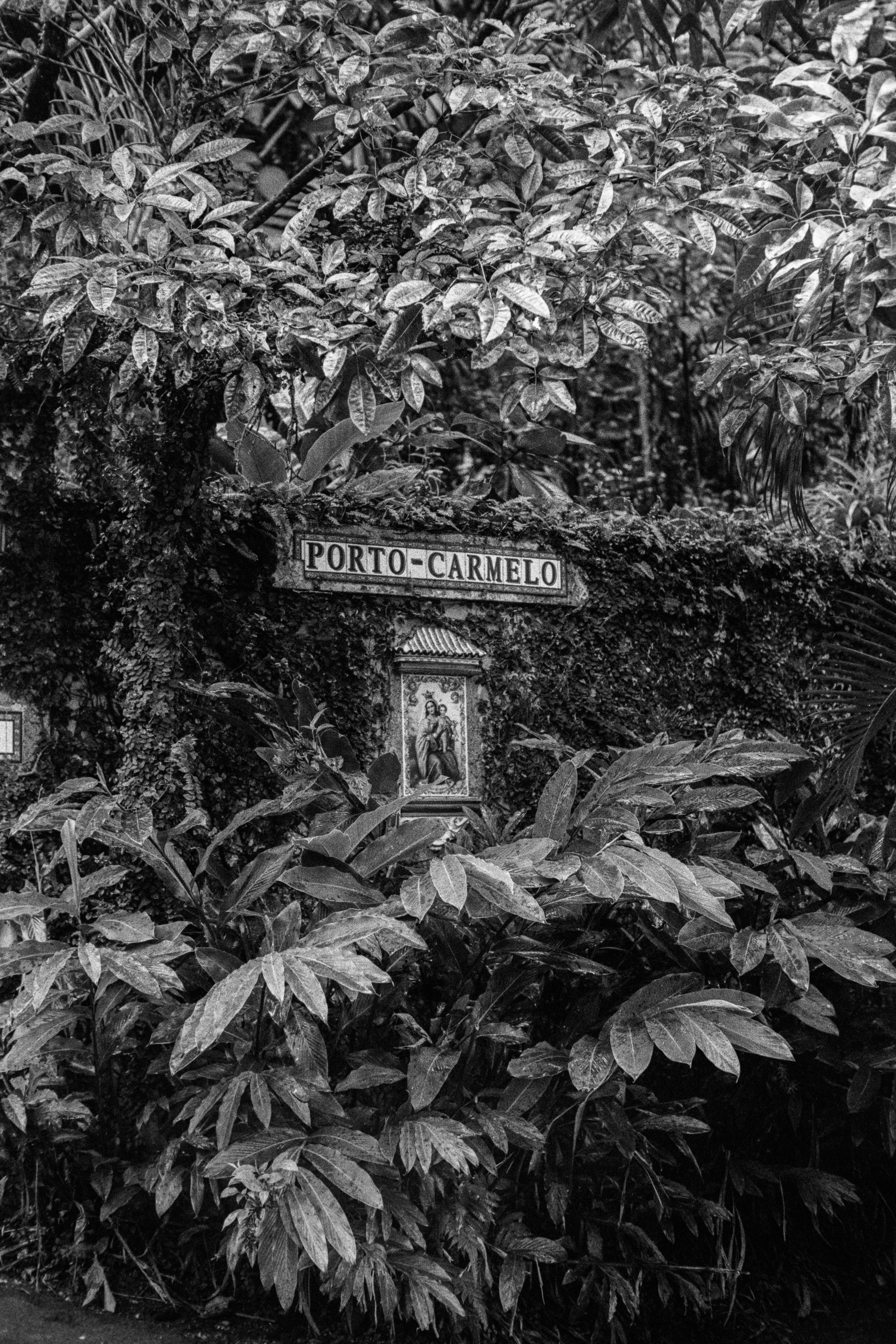 Photo by christianbalentine