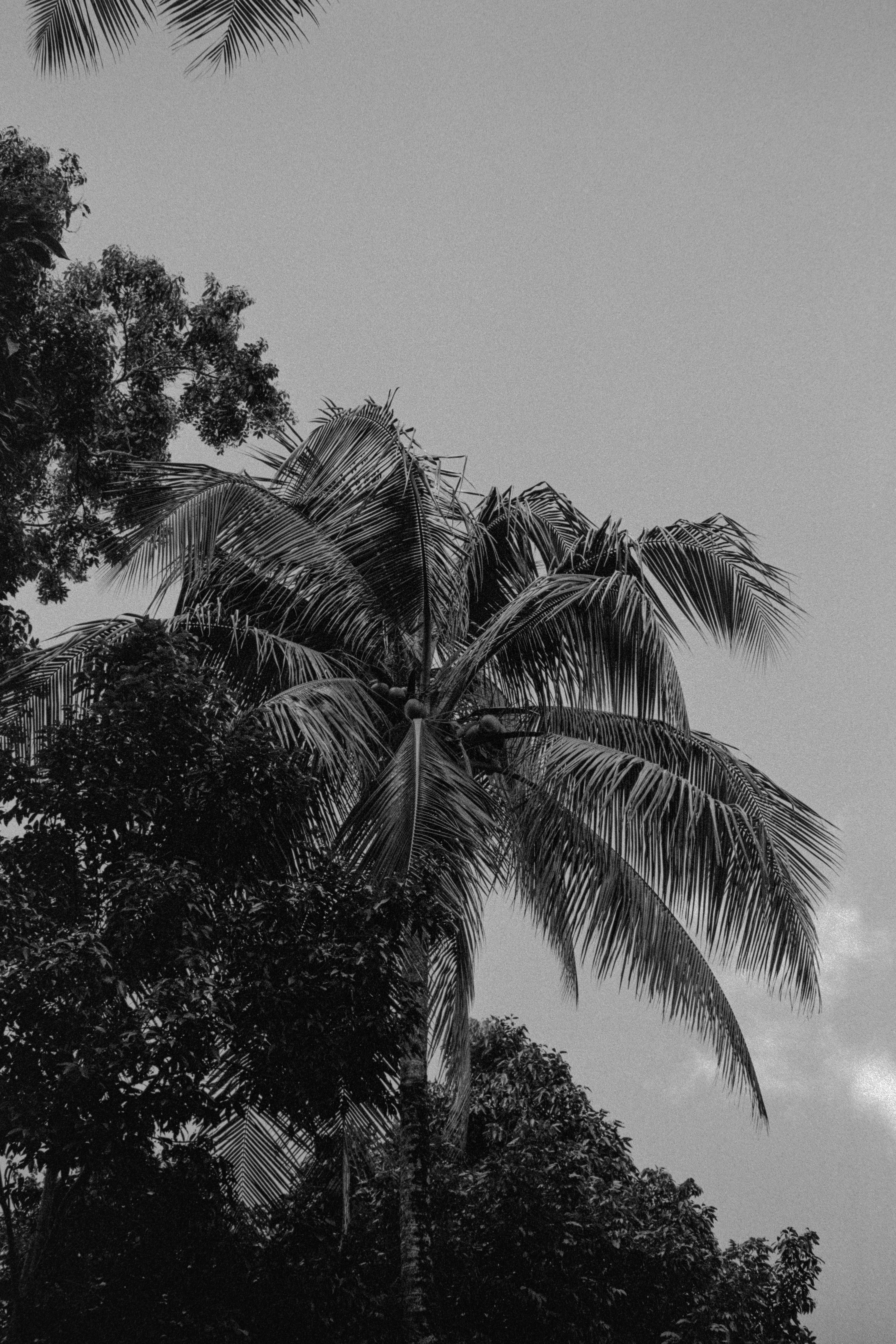 Photo by christianbalentine