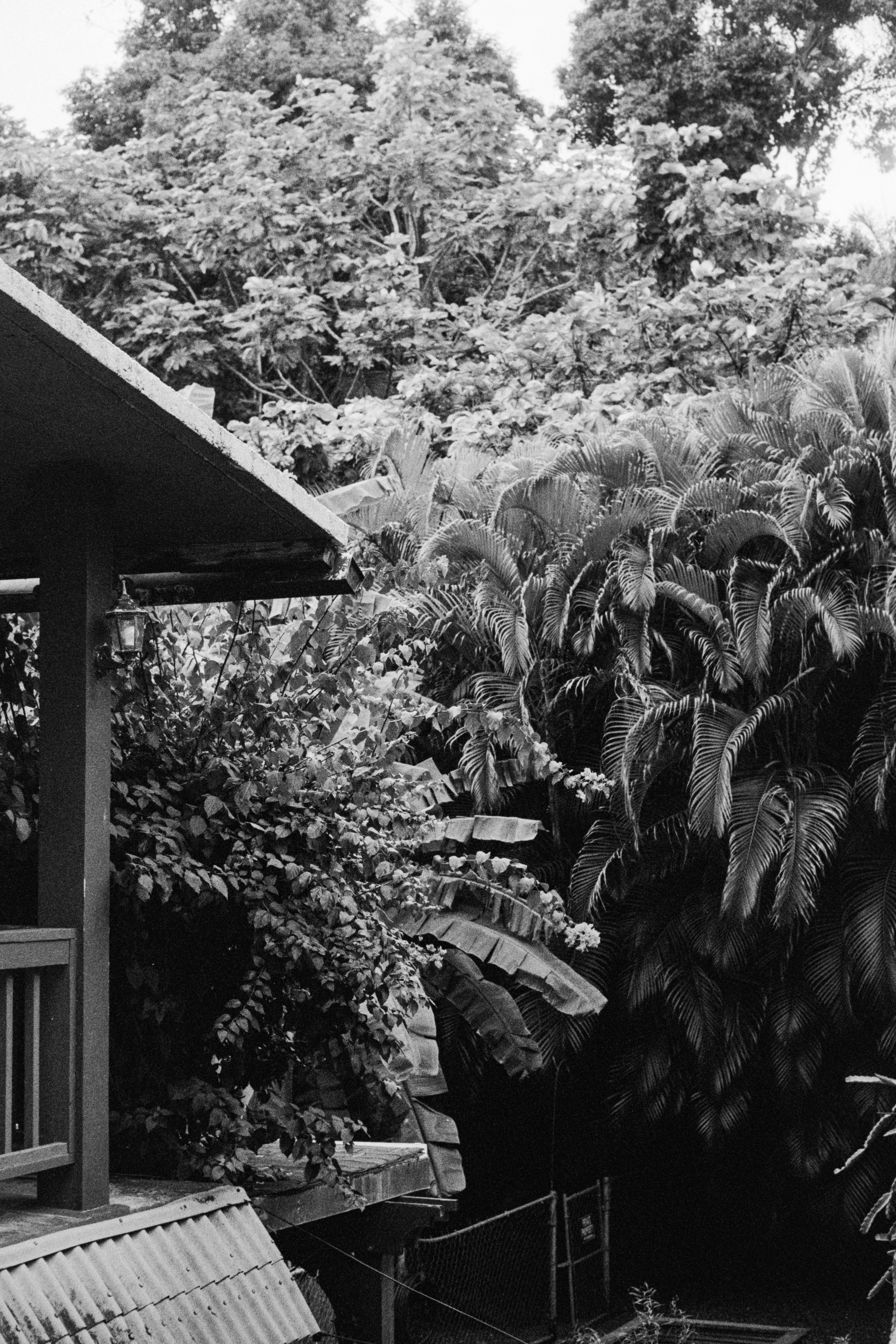 Photo by christianbalentine