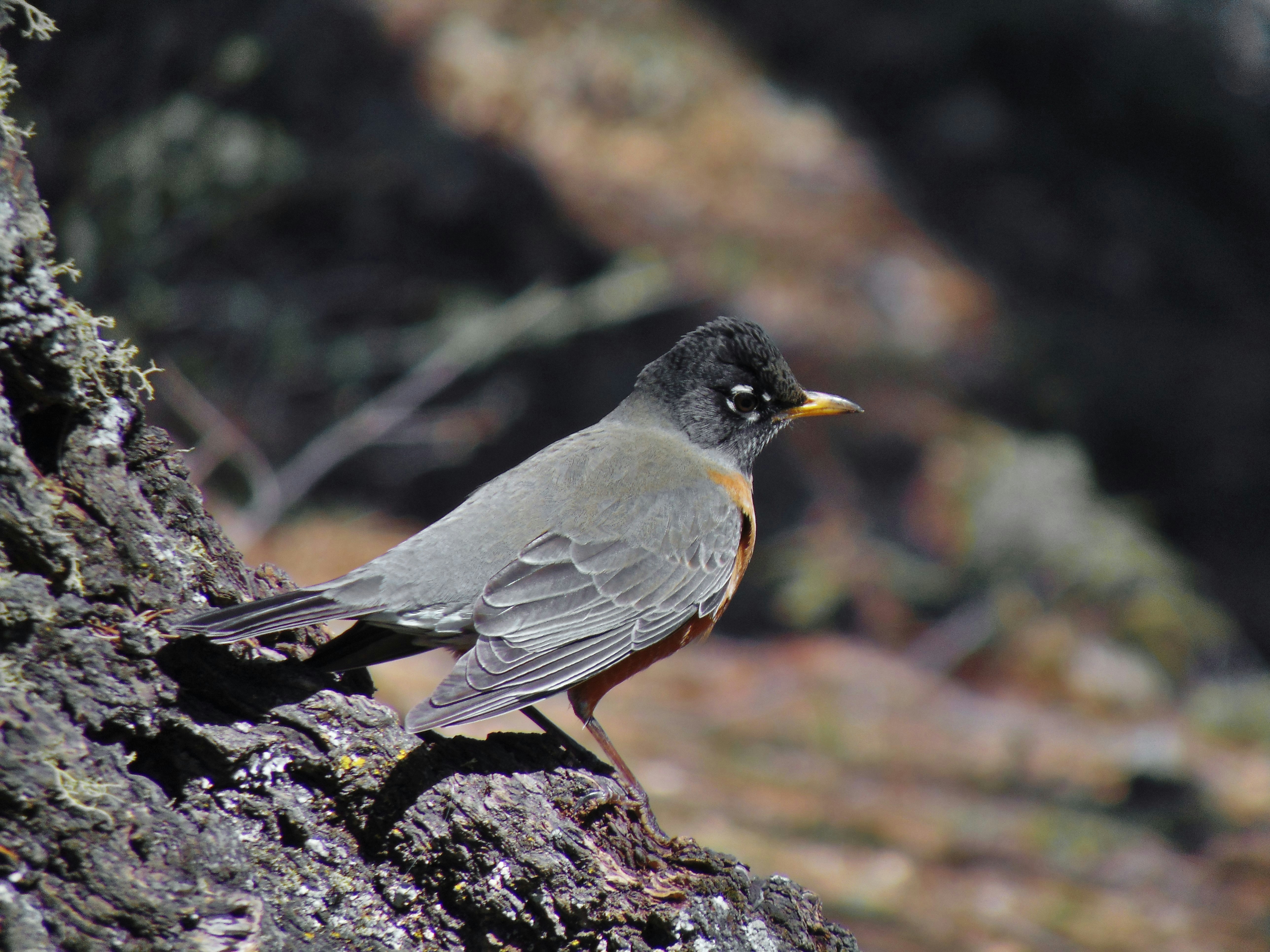 Photo by olivia_brewer2002