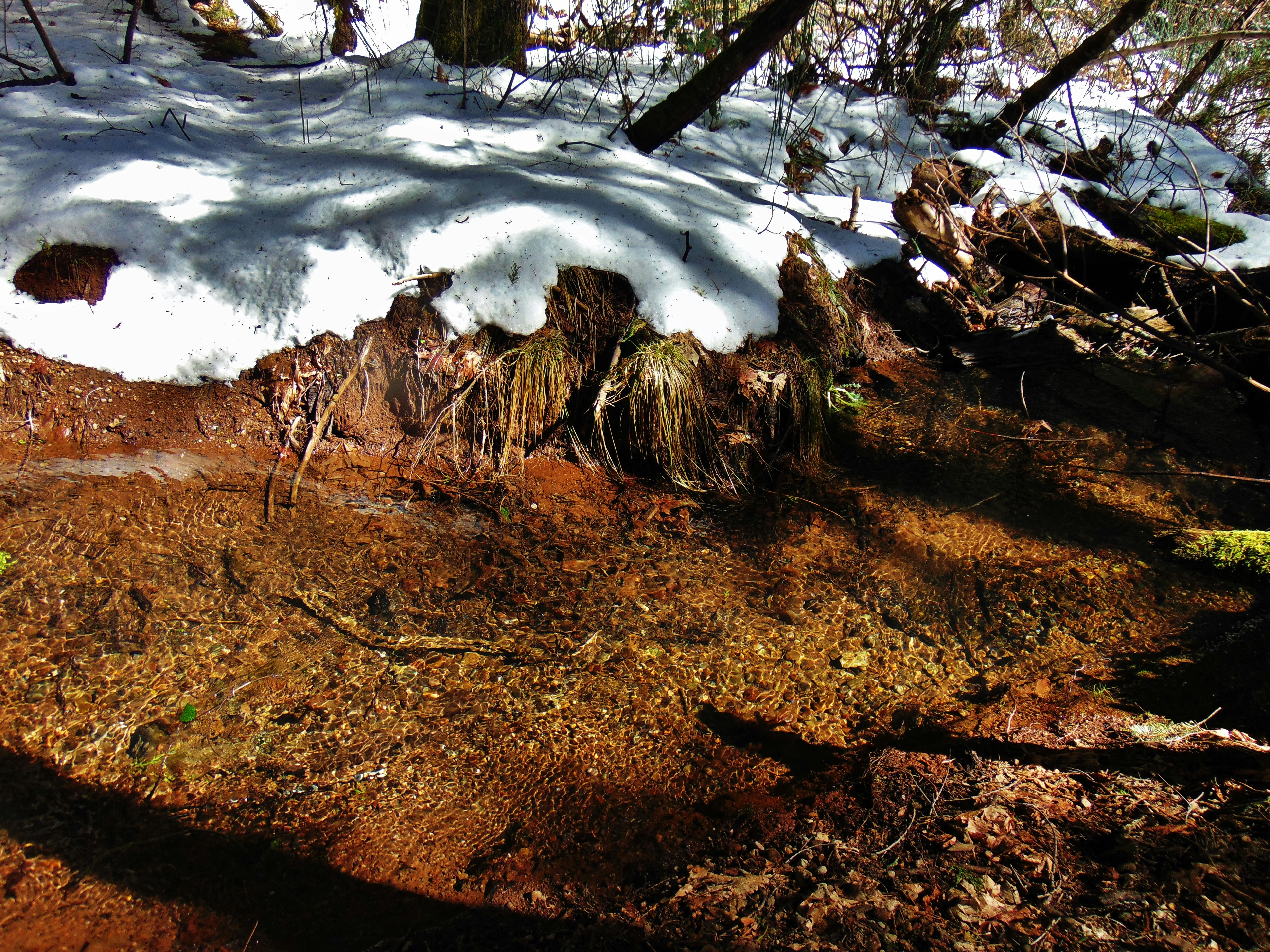 Photo by olivia_brewer2002