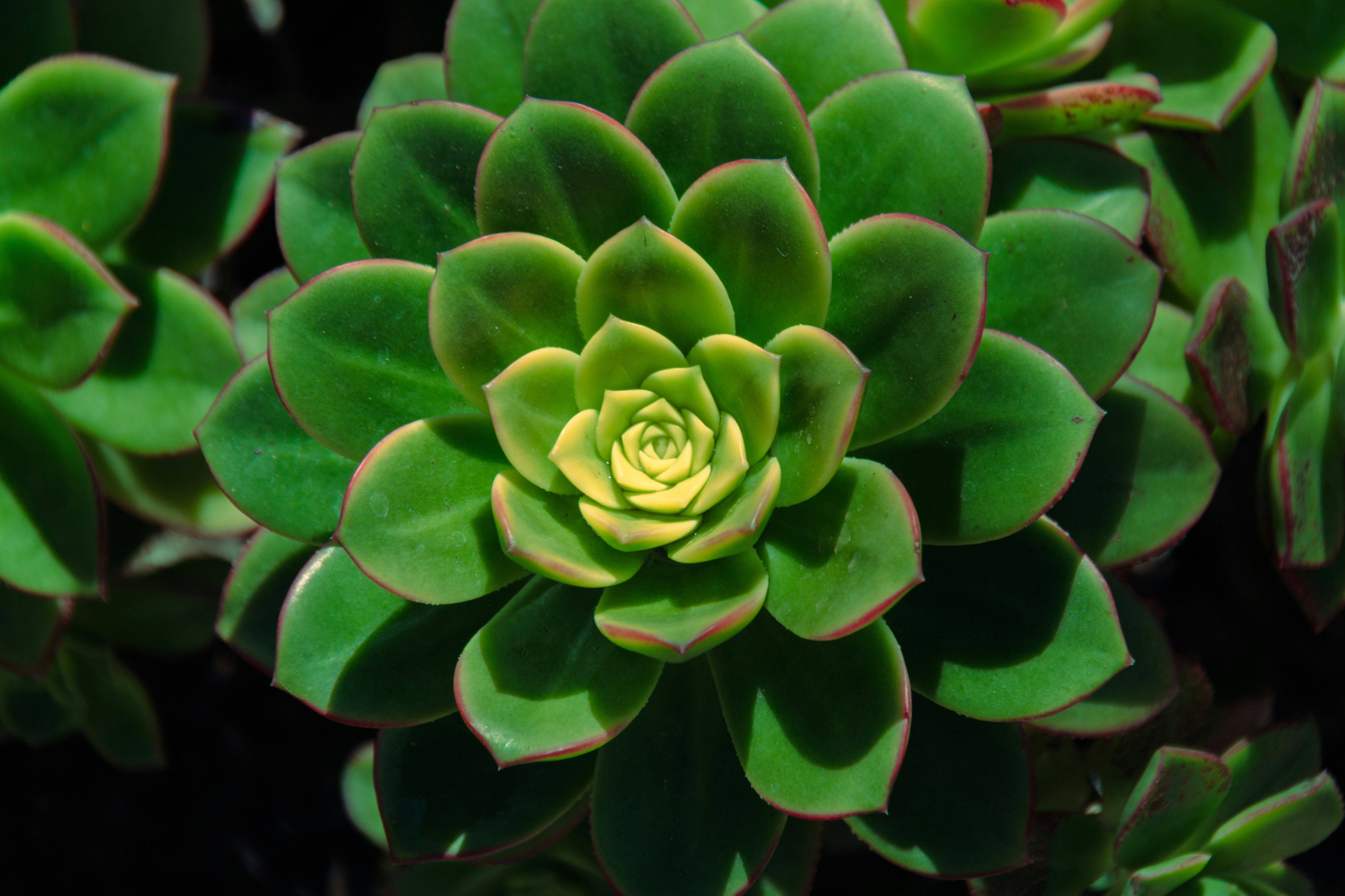 Photo by silaslundquist