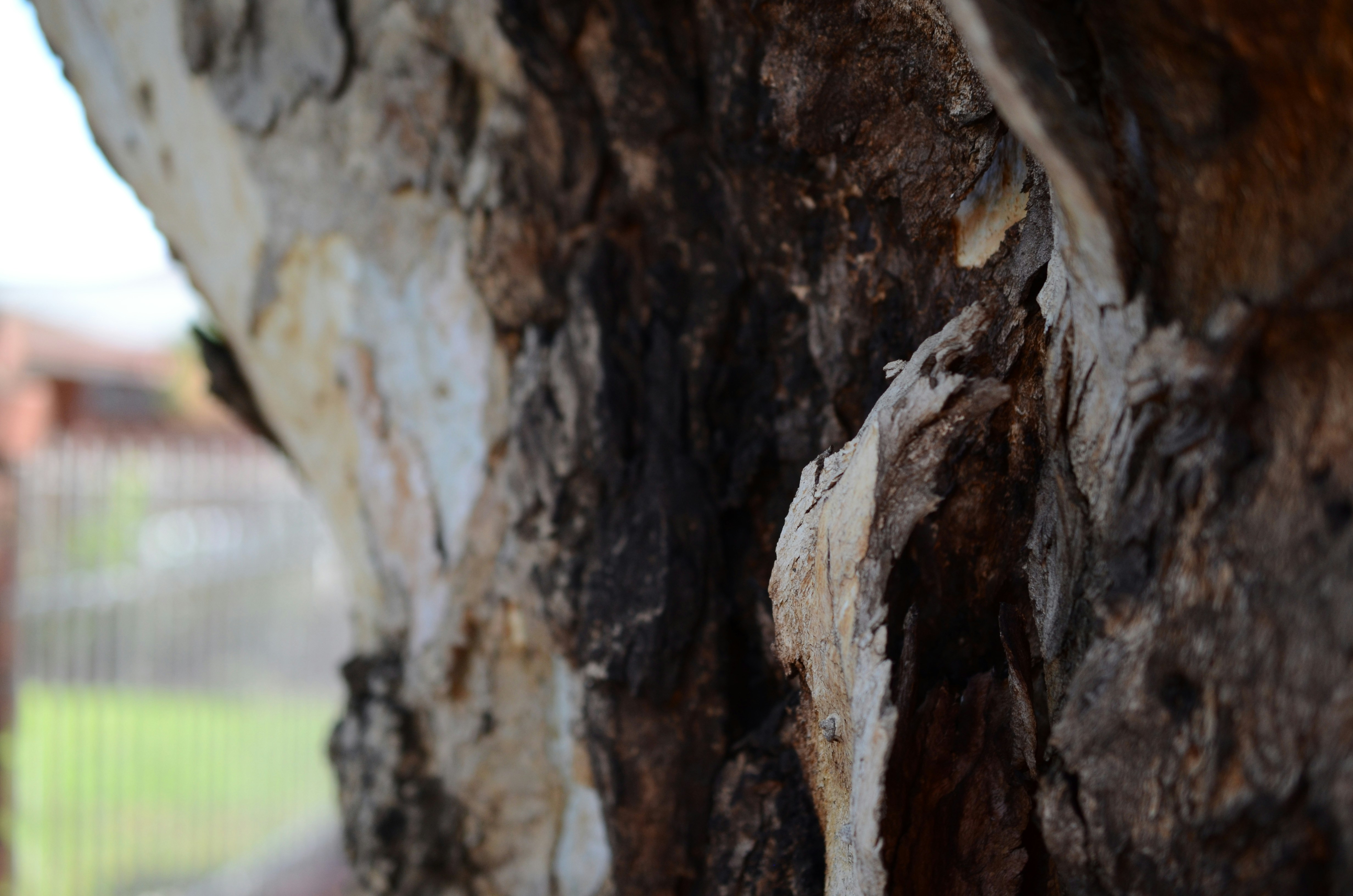 Photo by andreakest2018