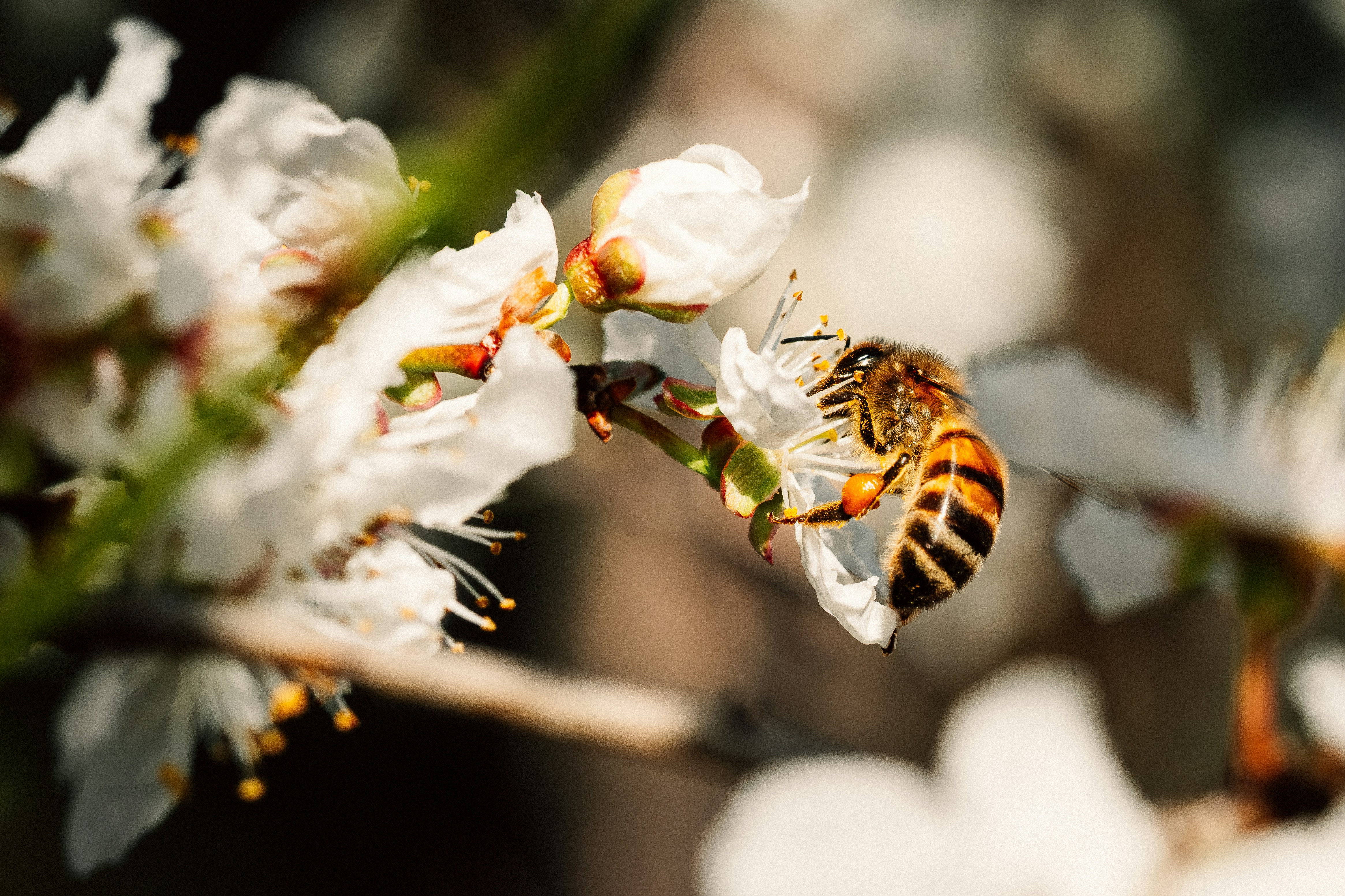 Photo by remimorel05