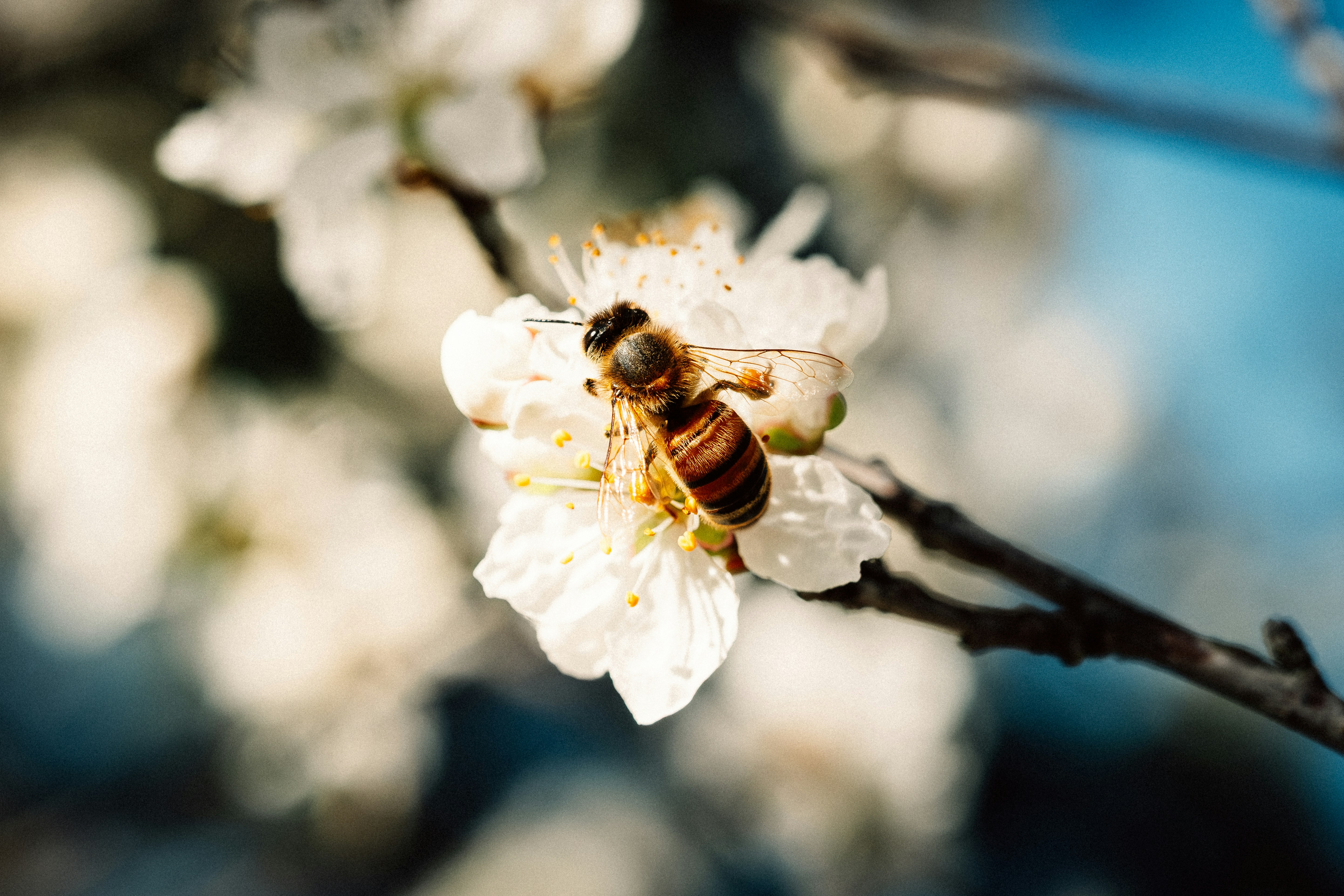 Photo by remimorel05