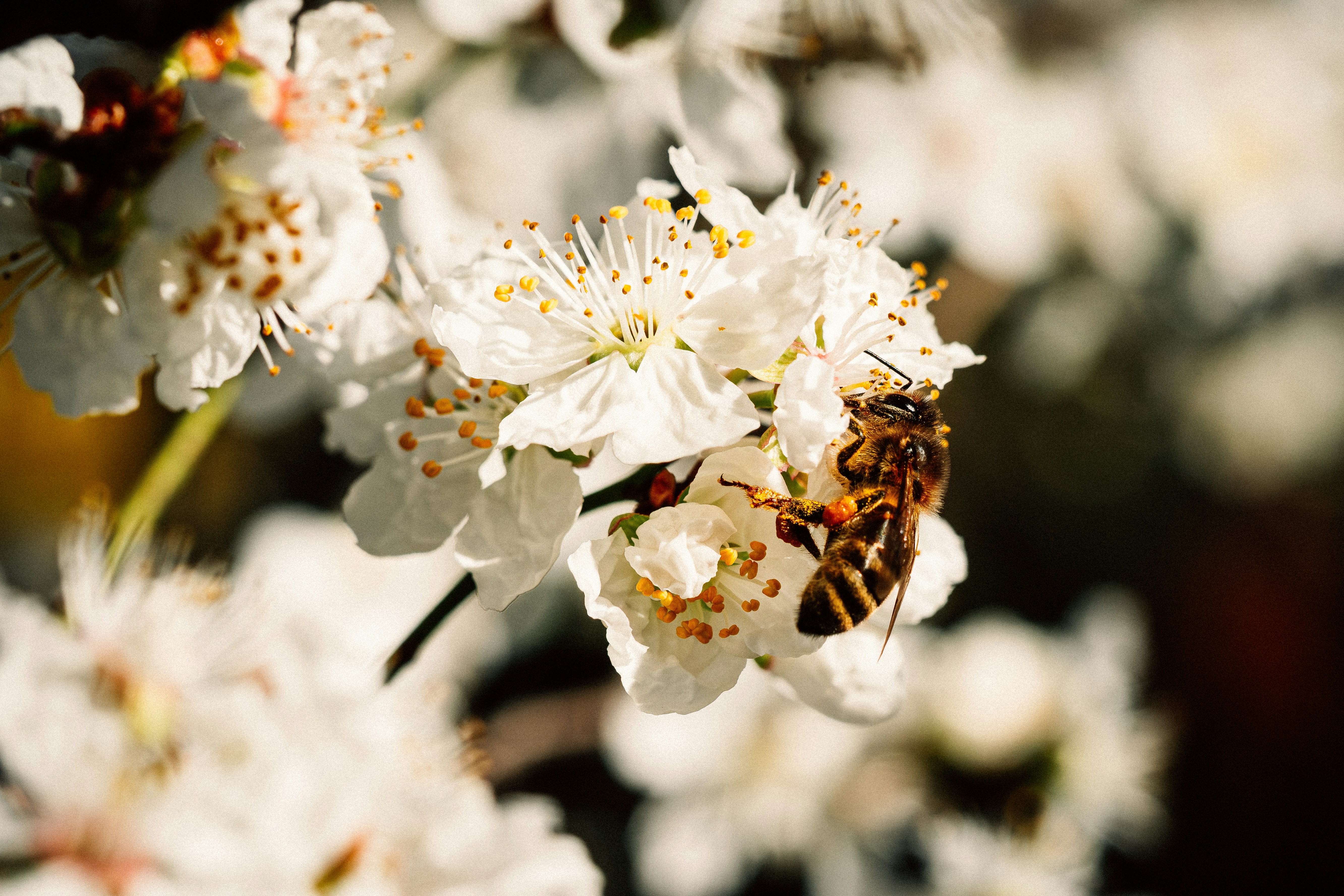 Photo by remimorel05