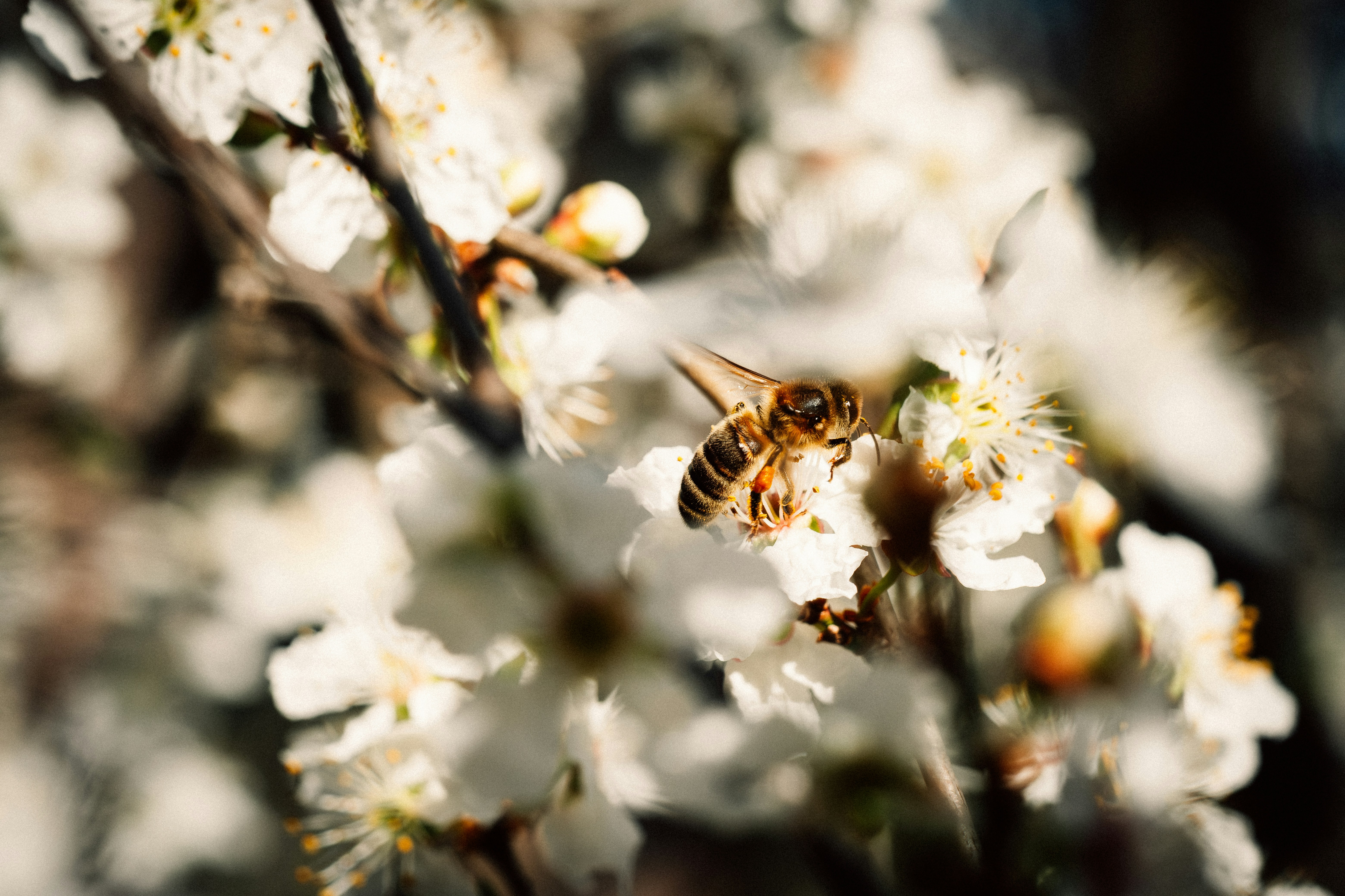 Photo by remimorel05