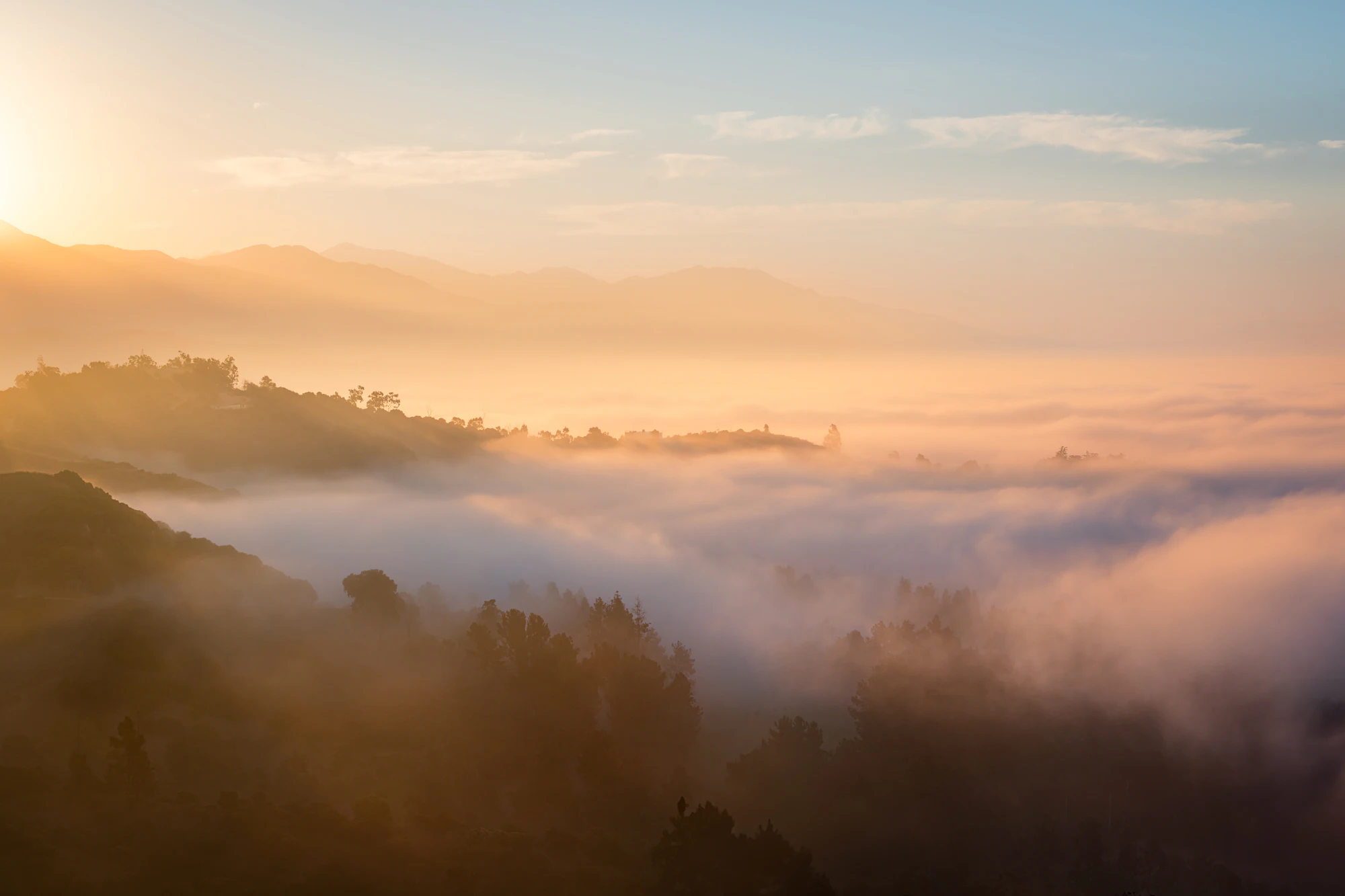 Wooded hills under morning fog at first light