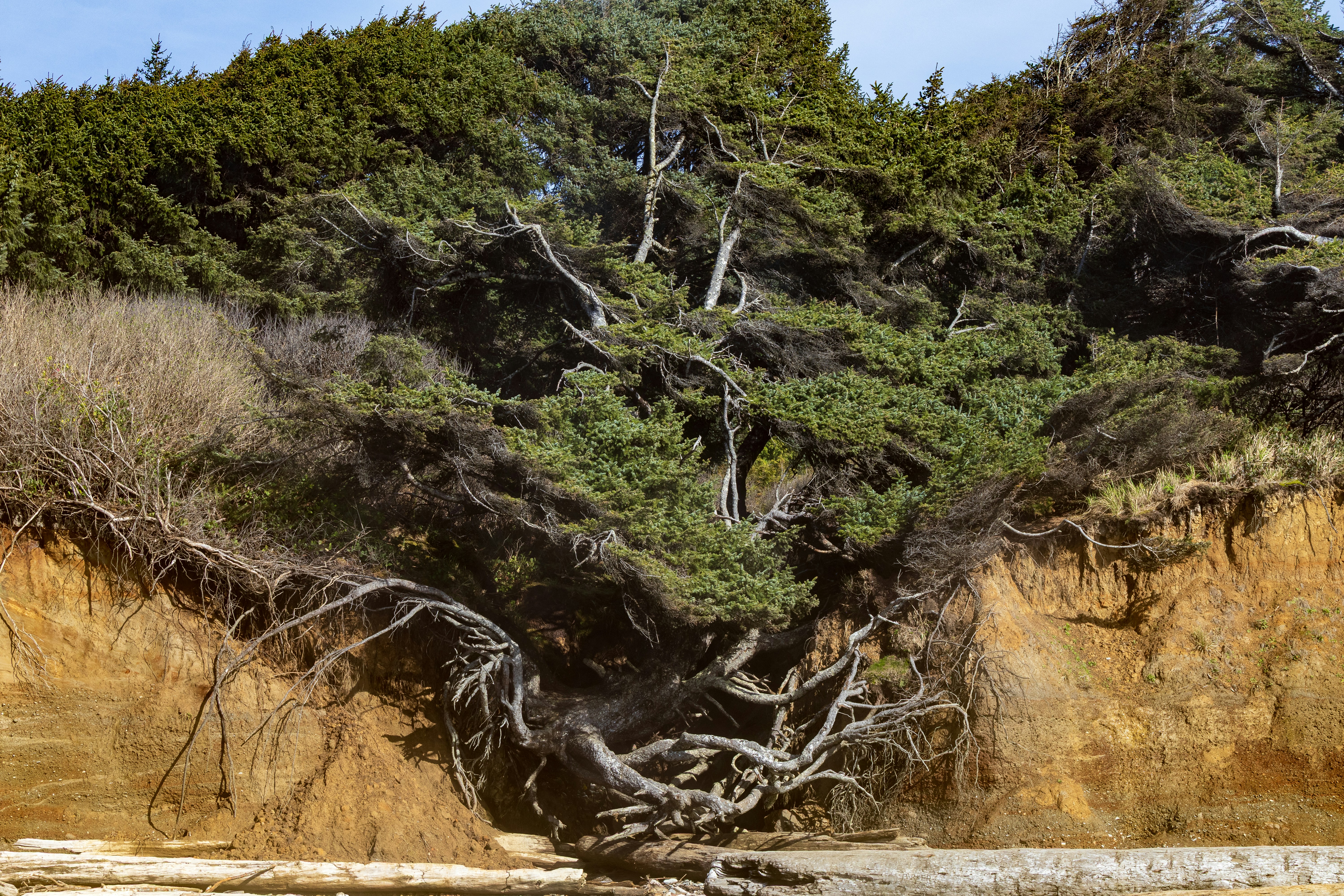 Have Our Online Lives Eroded Our Communities?