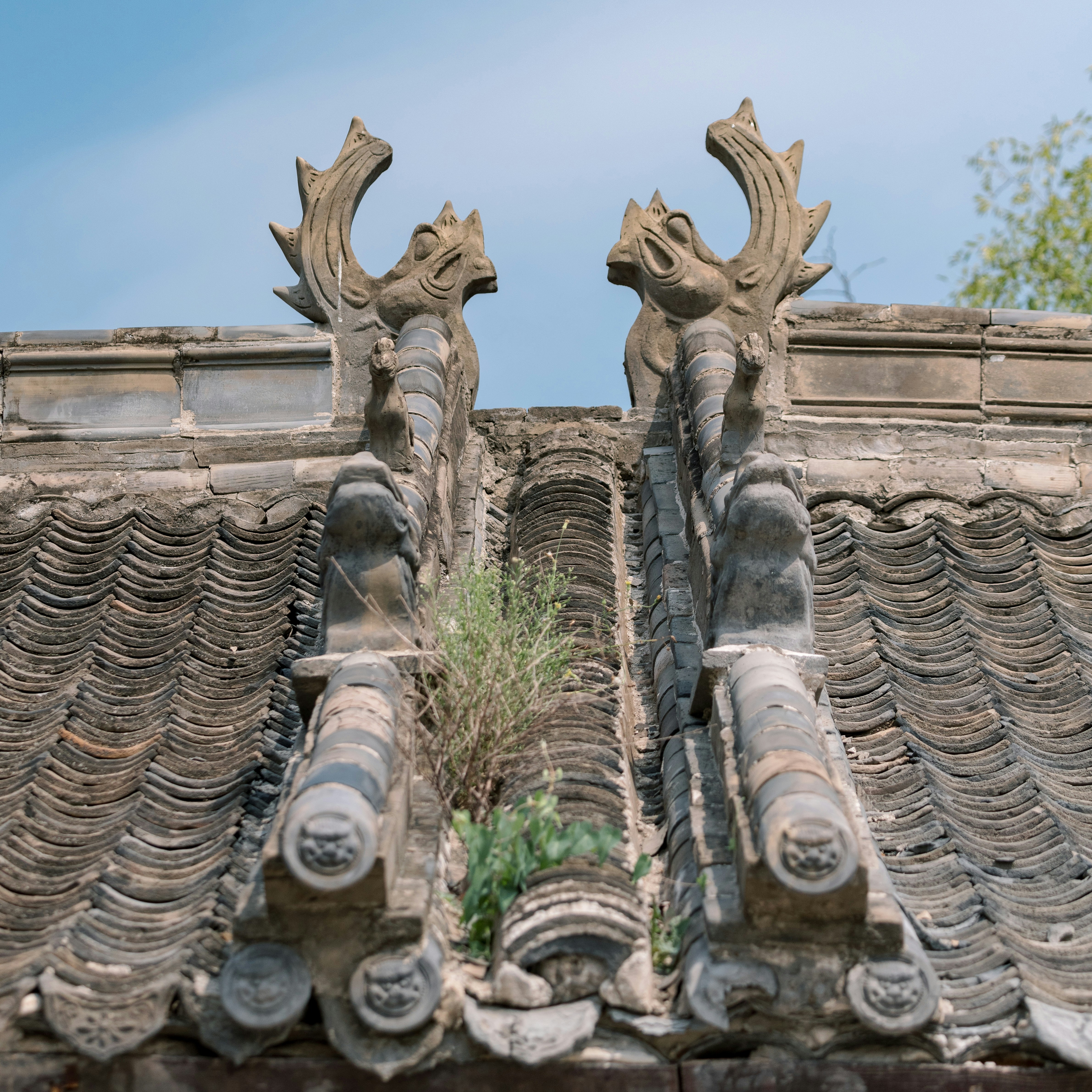 Photo by ooneiroslyl