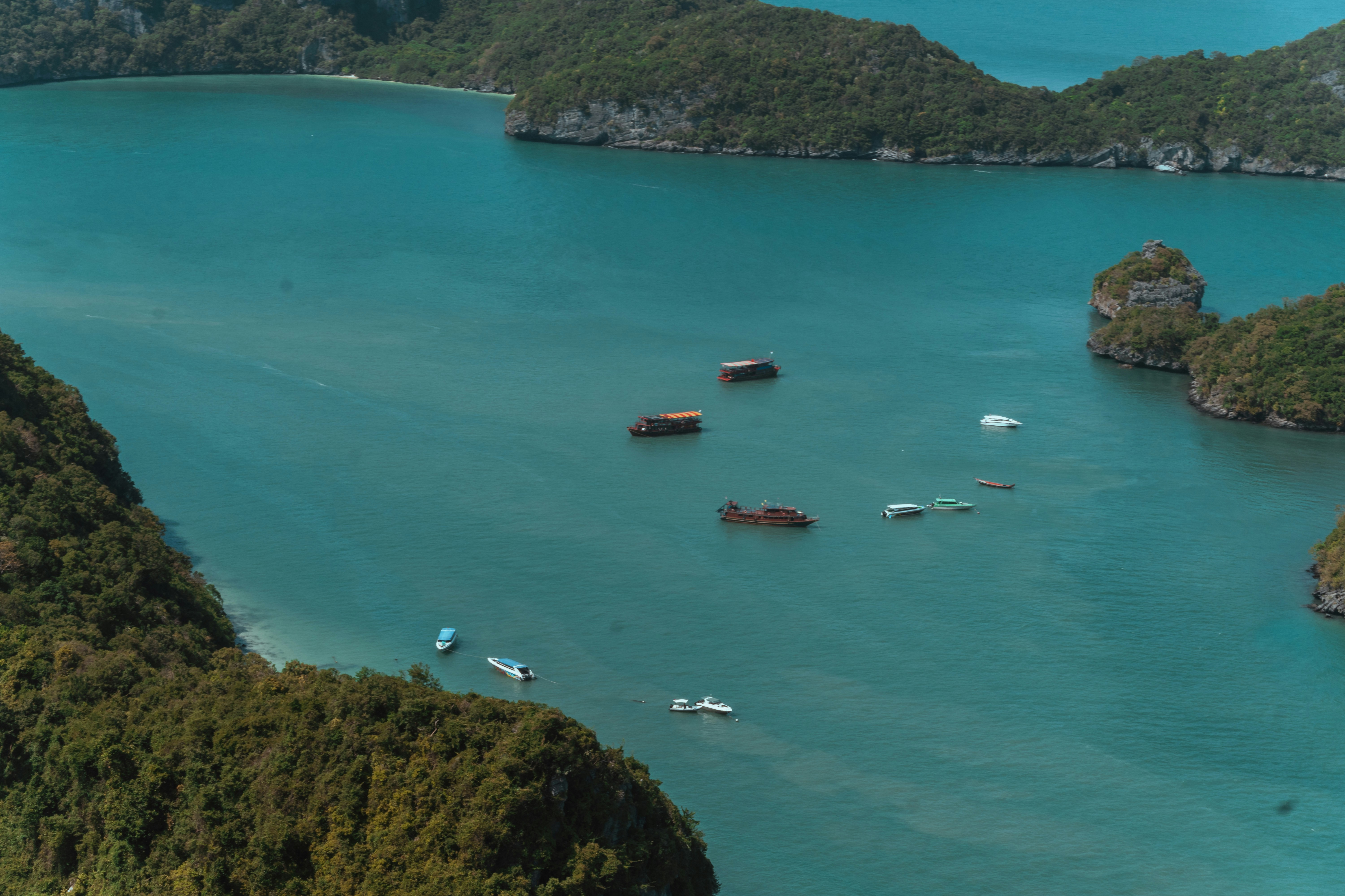 Photo by pauliusidea