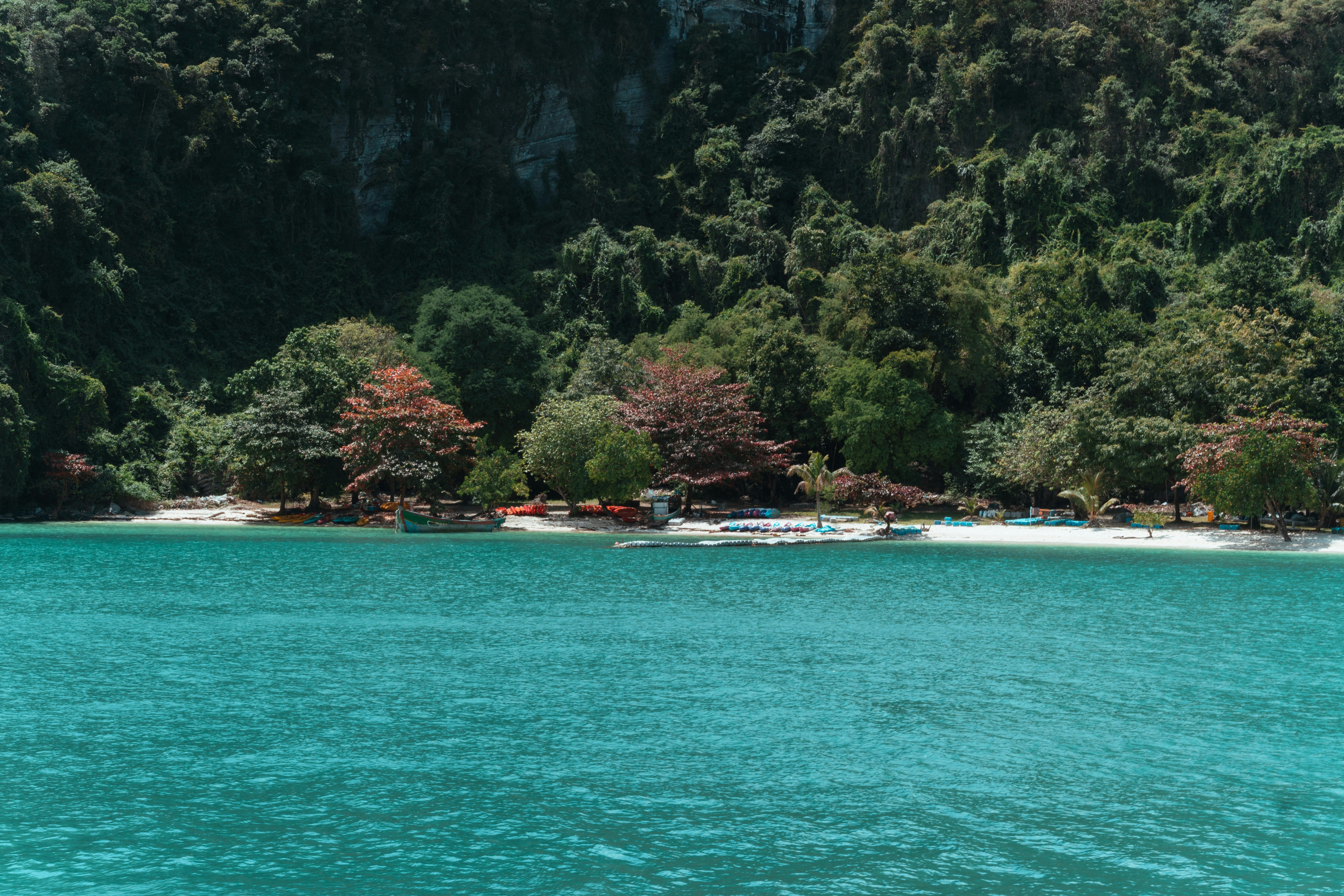 Photo by pauliusidea