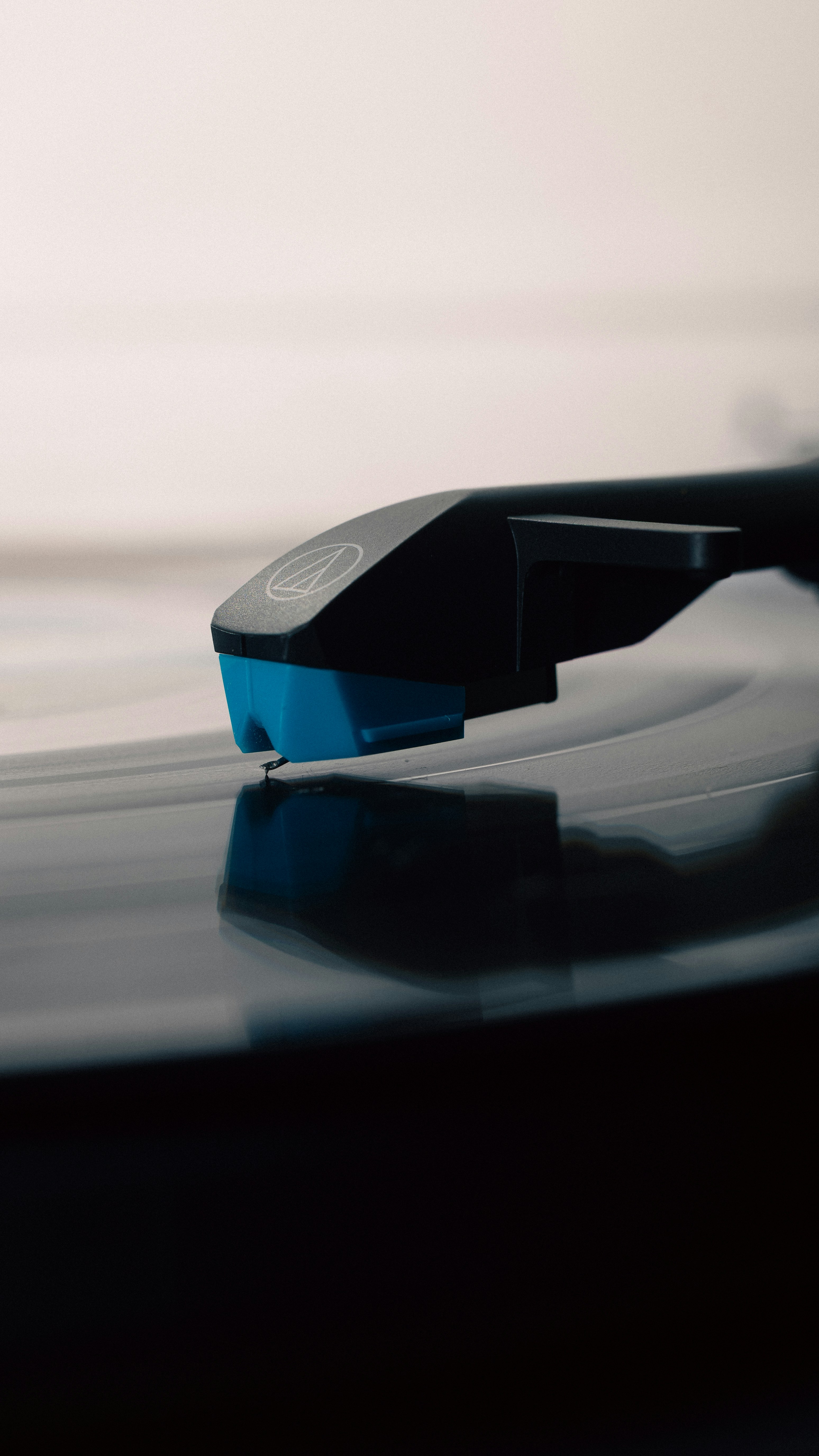 Photo by lucasdalamartaphoto