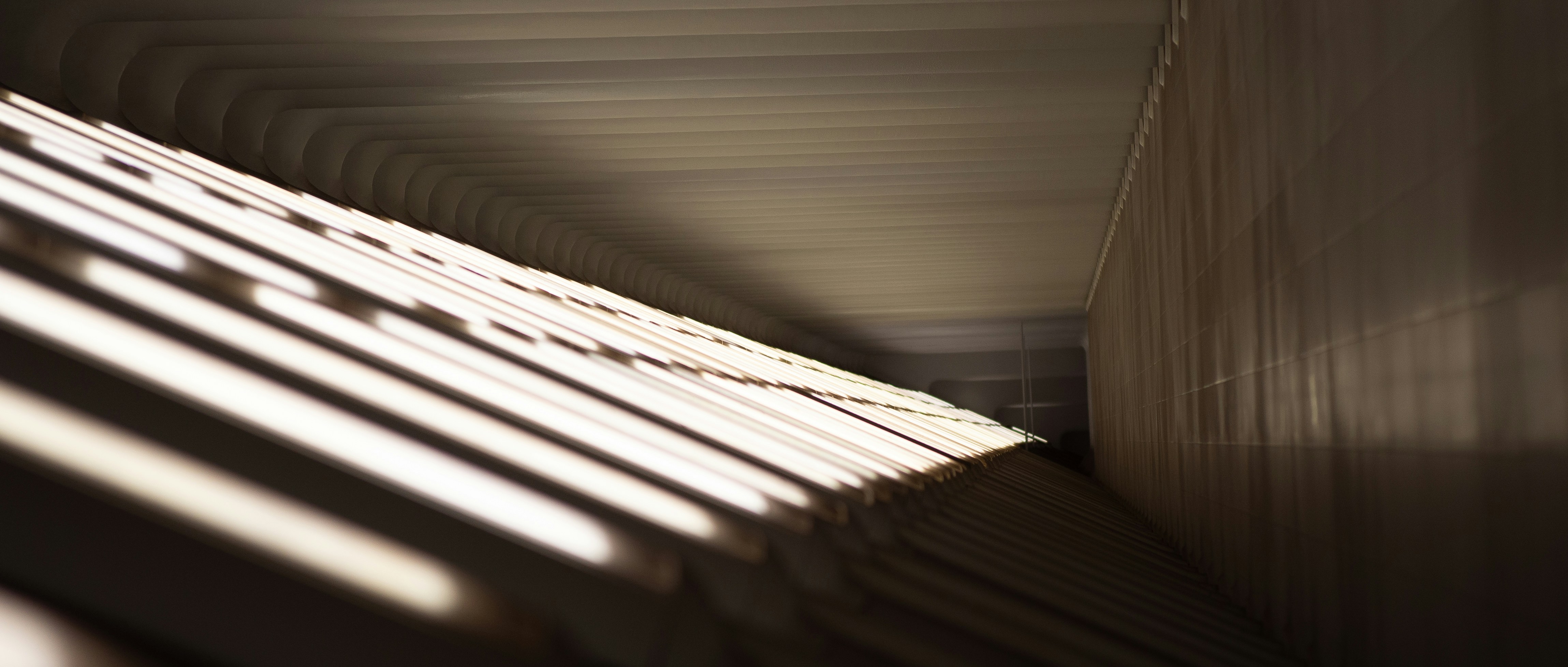 Photo by muscateer777