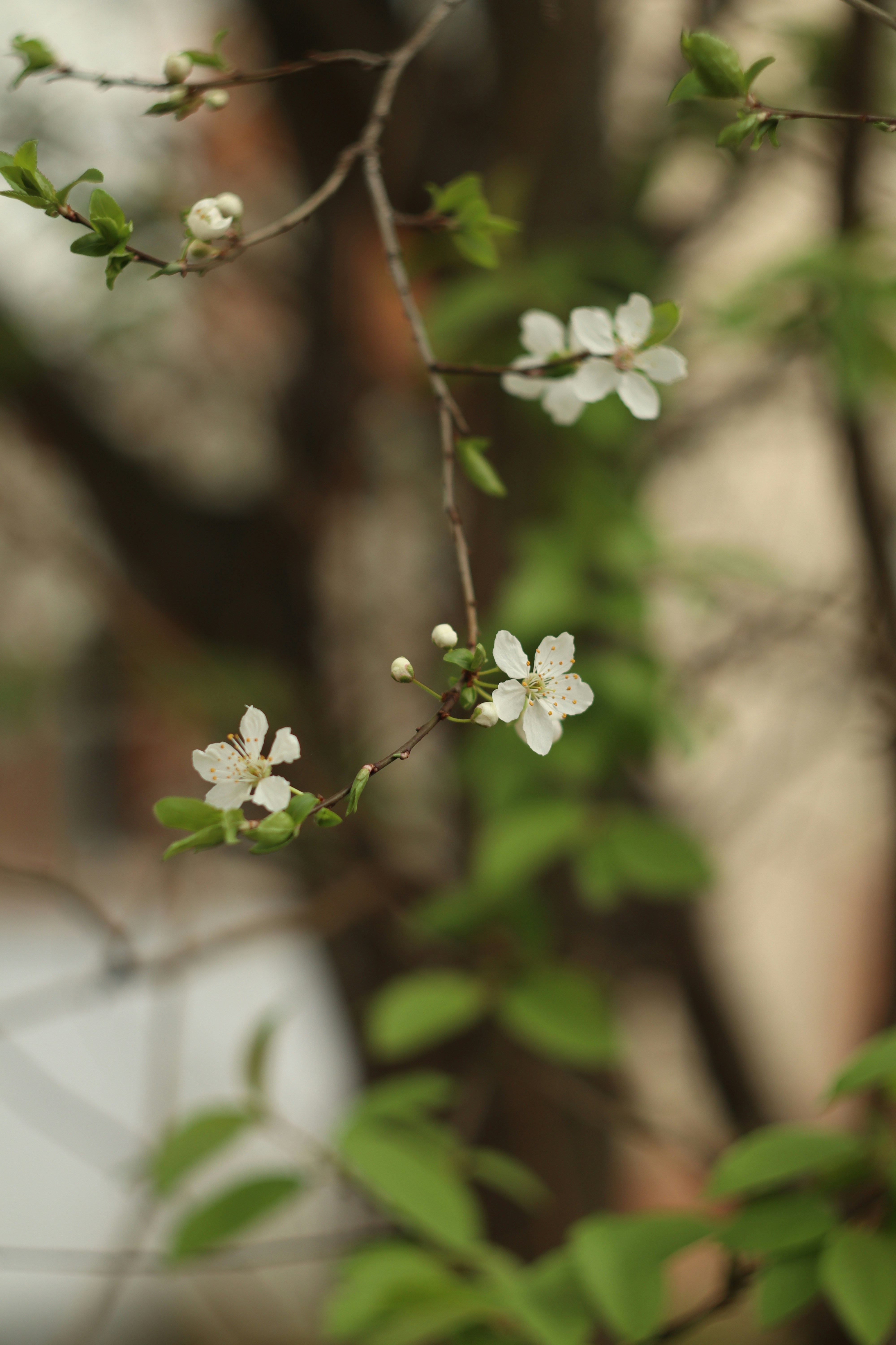 Photo by feeling_hope