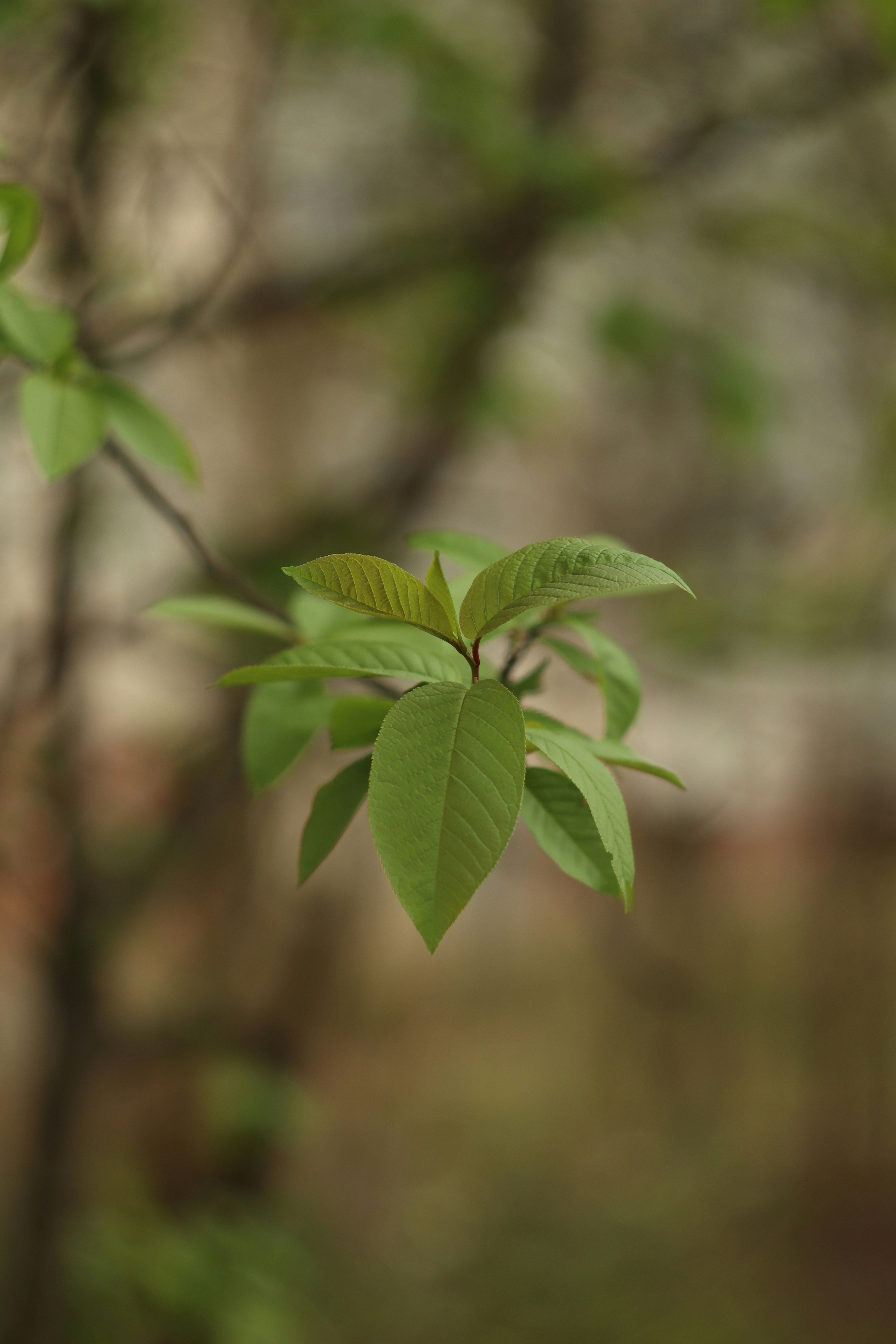 Photo by feeling_hope