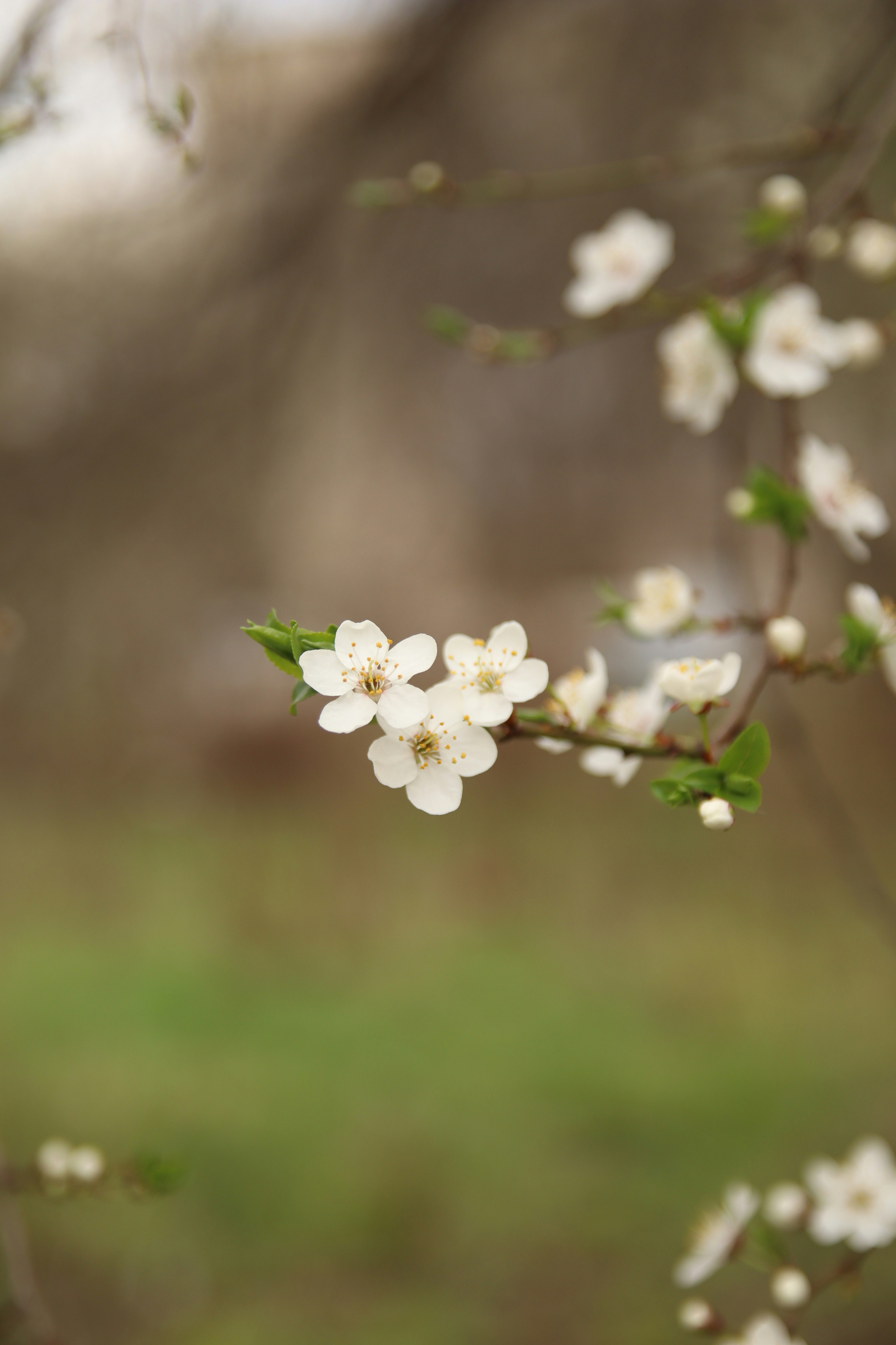 Photo by feeling_hope