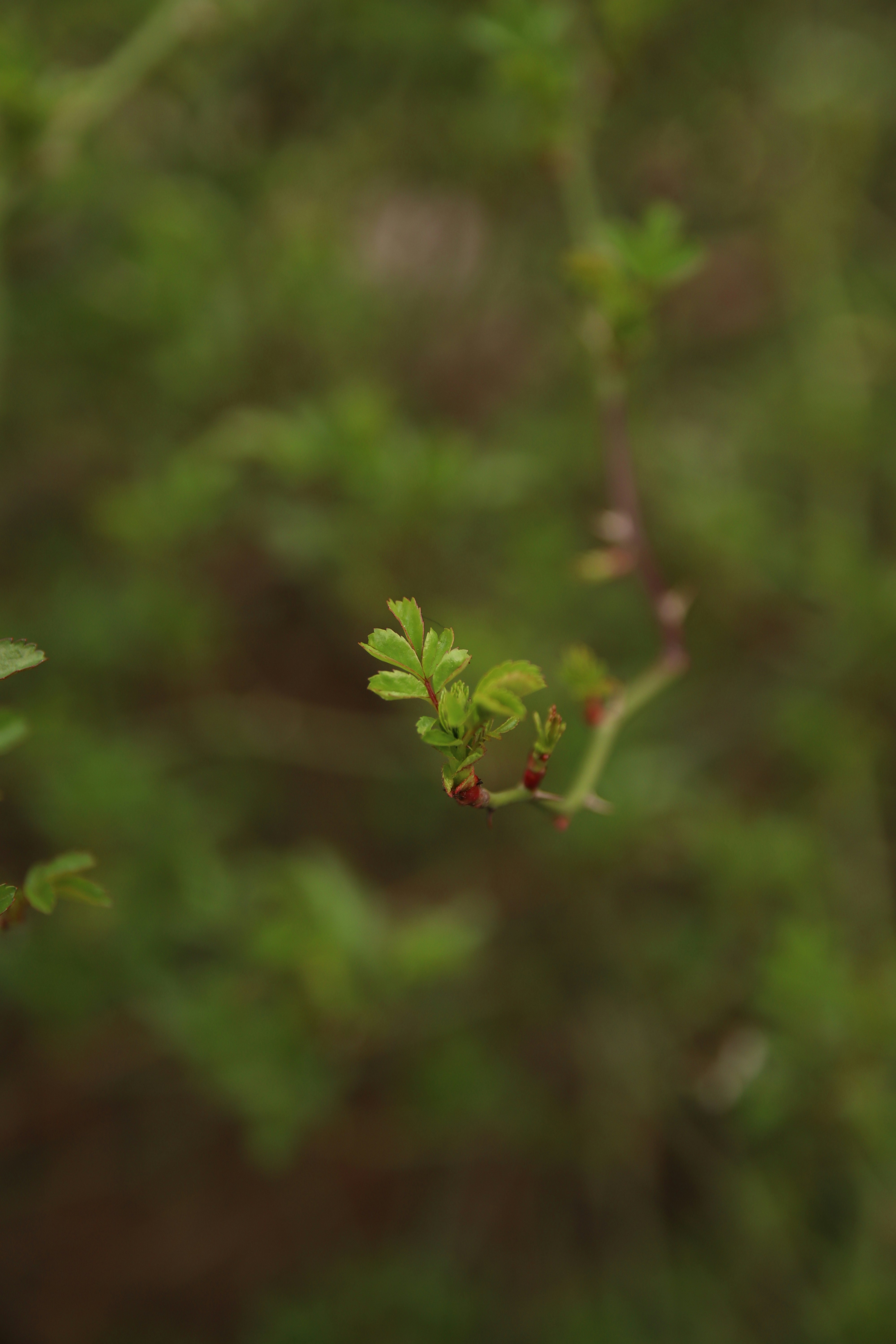 Photo by feeling_hope