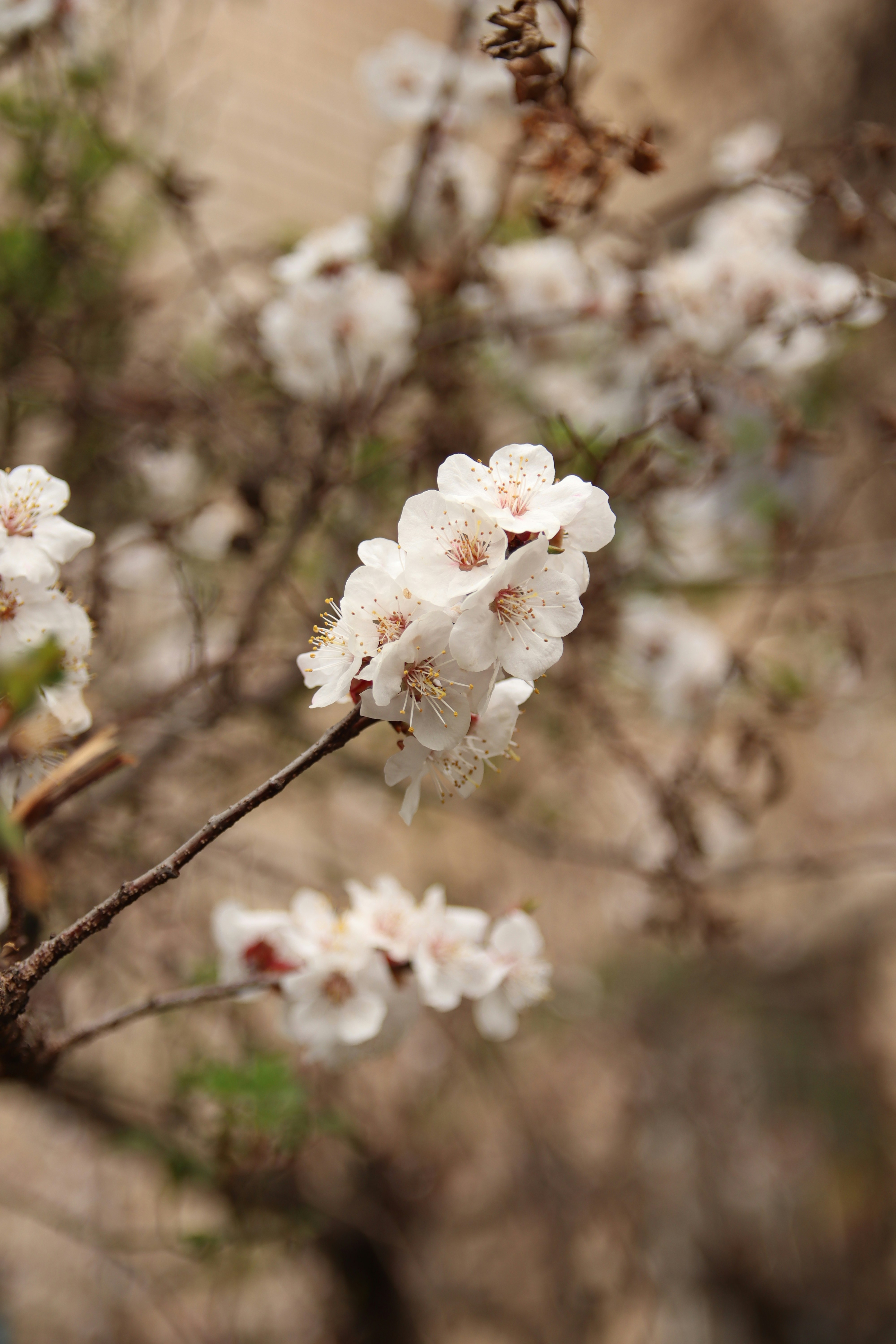 Photo by feeling_hope