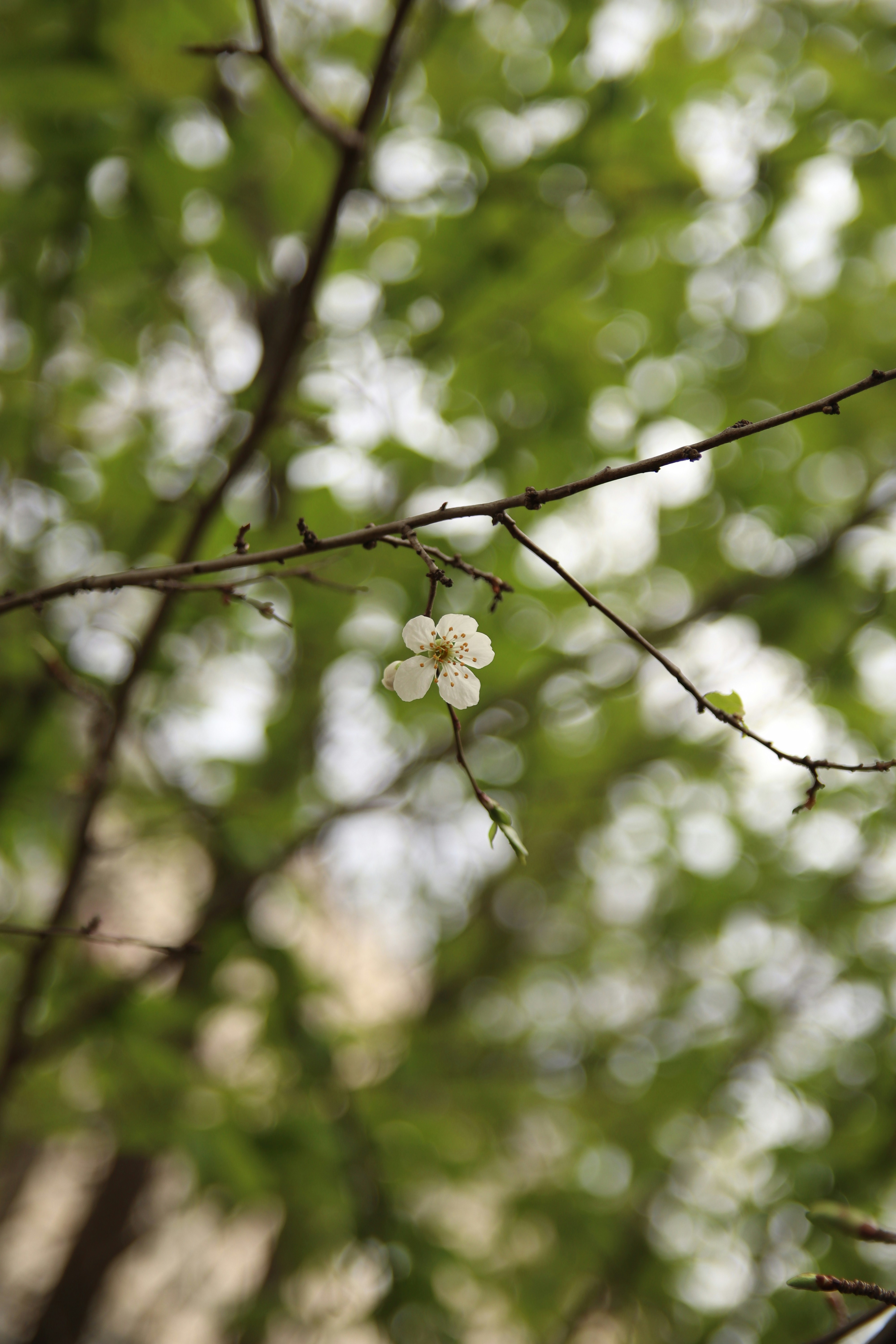 Photo by feeling_hope