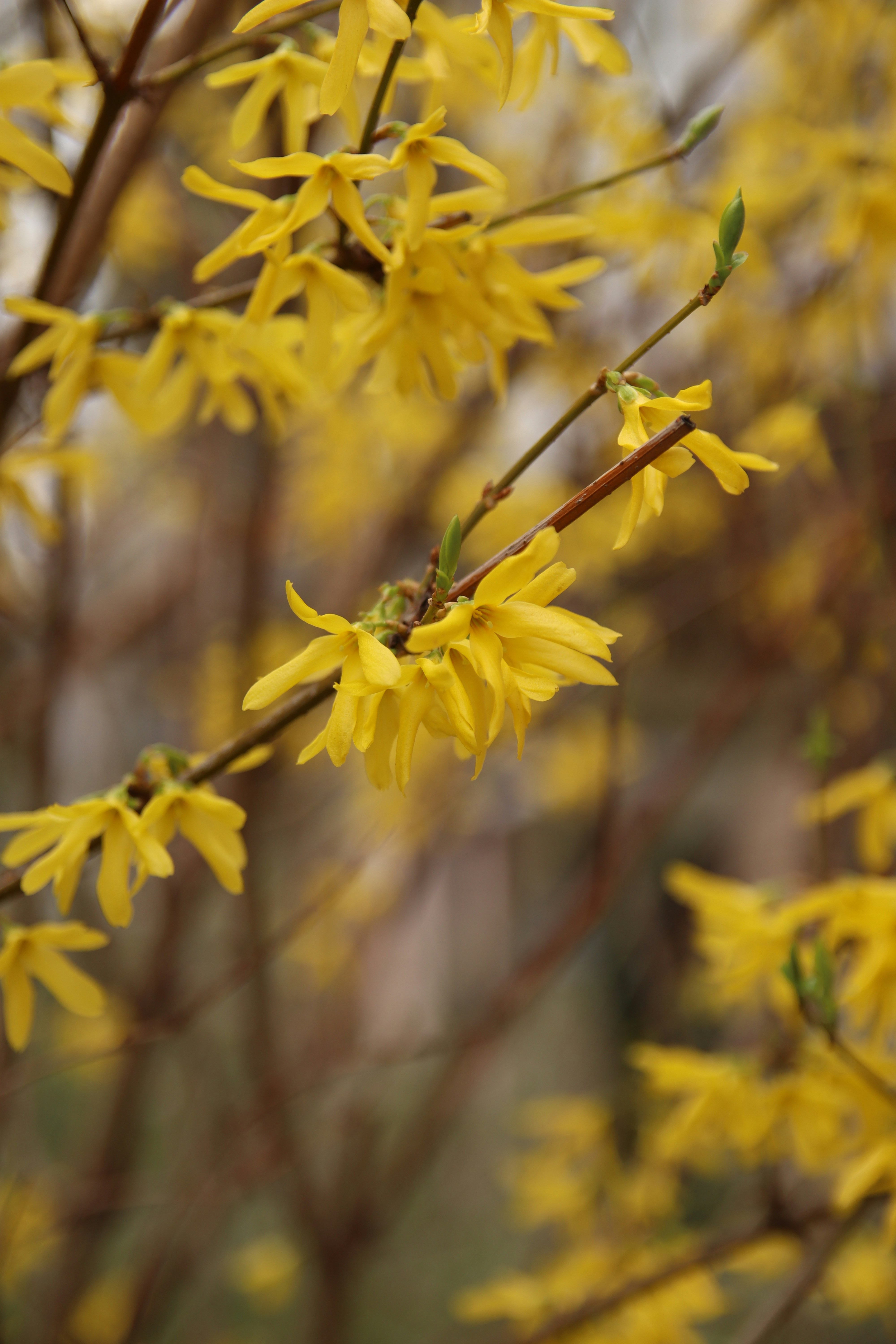 Photo by feeling_hope