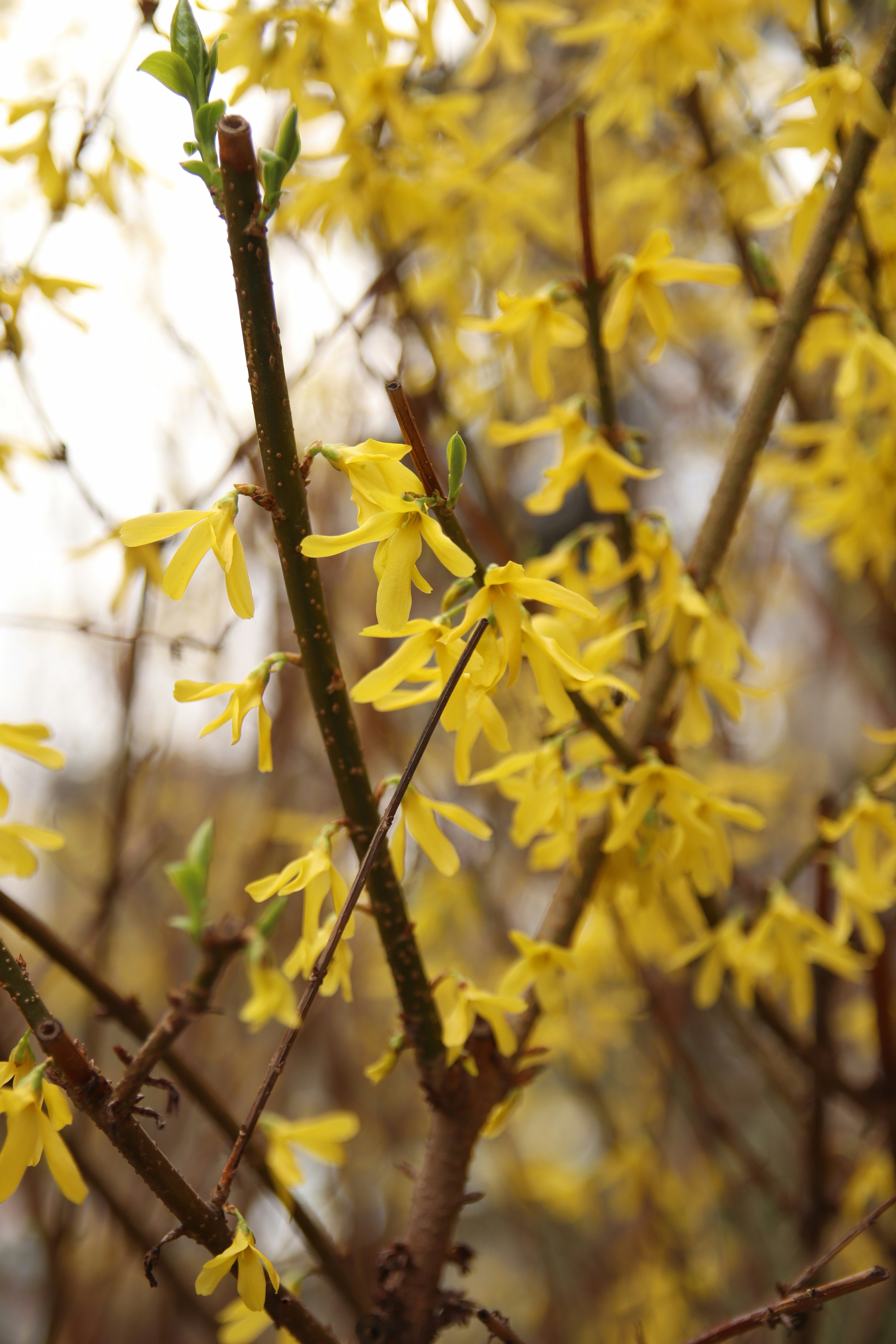 Photo by feeling_hope