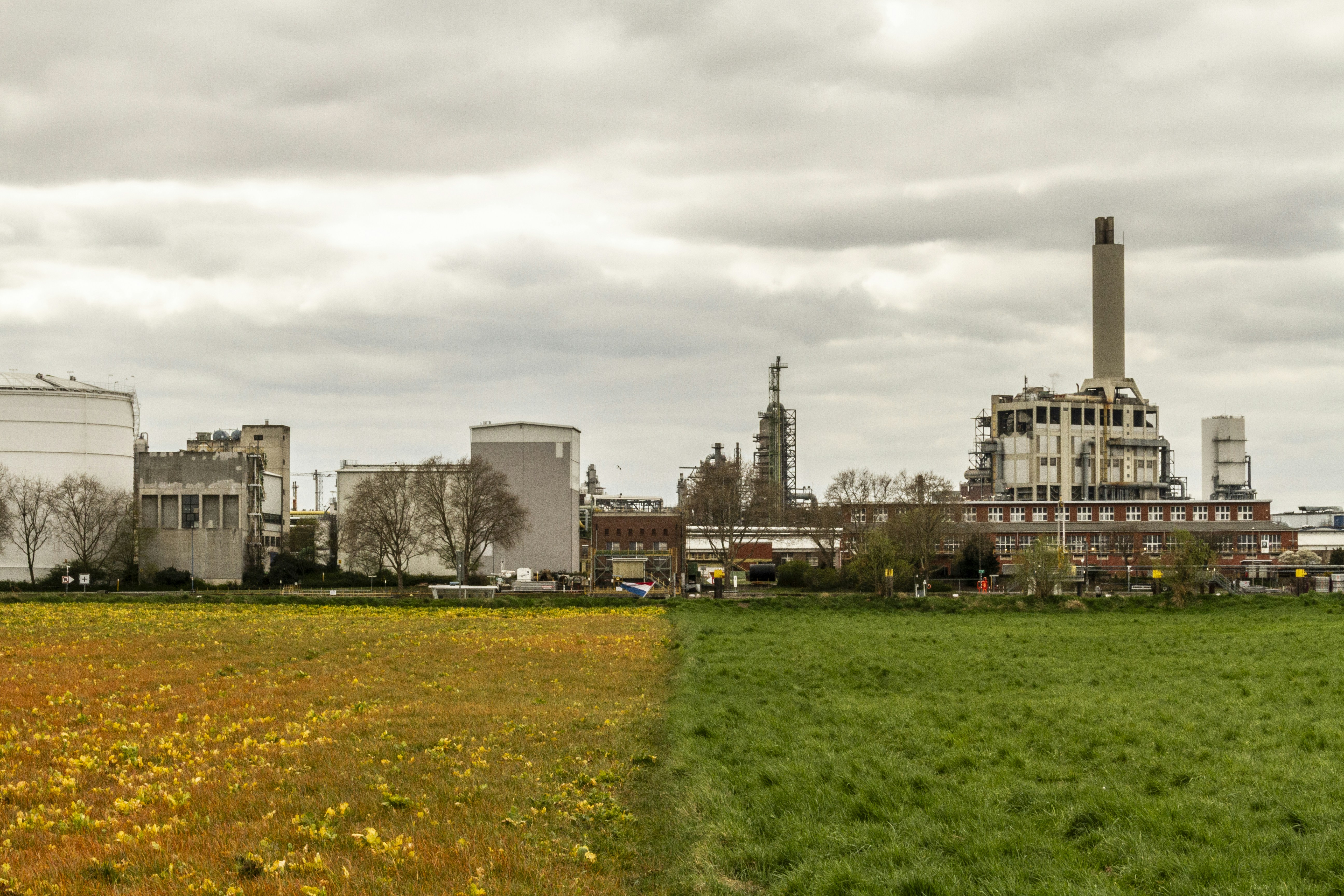 Global Climate Shift Accelerates, Urgent Action Debated Worldwide