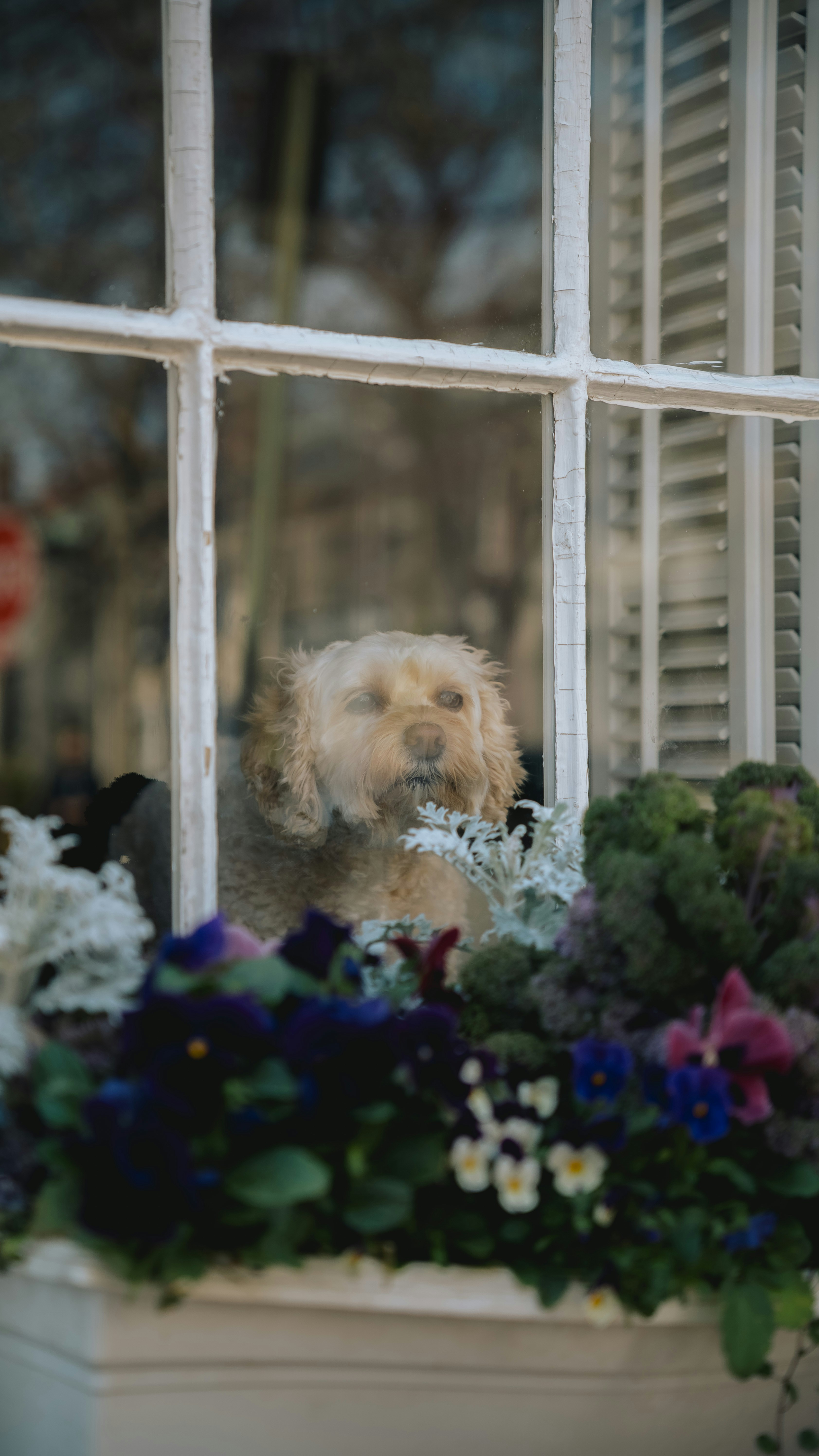 Photo by daniwithaniphotovideo