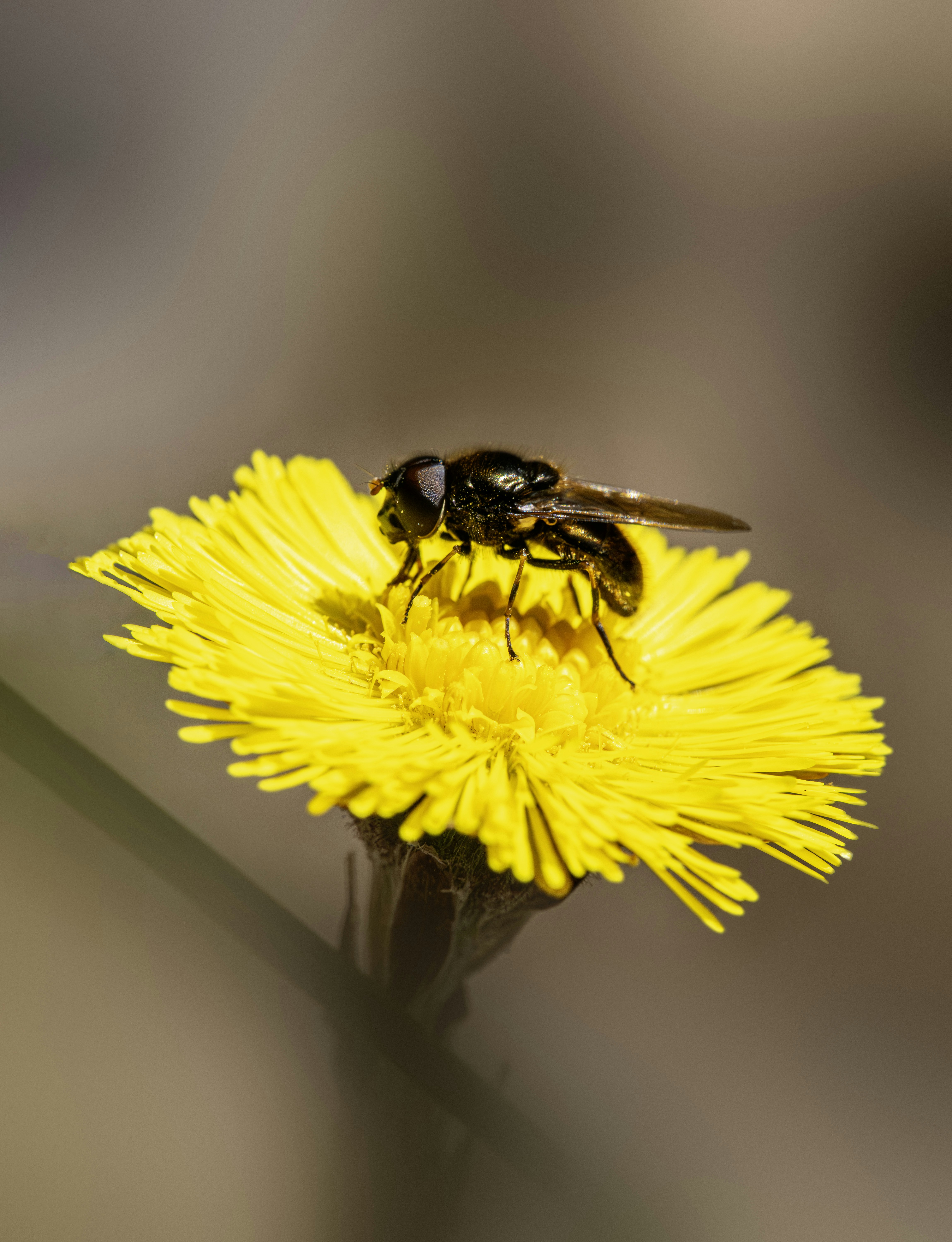 Photo by erik_karits