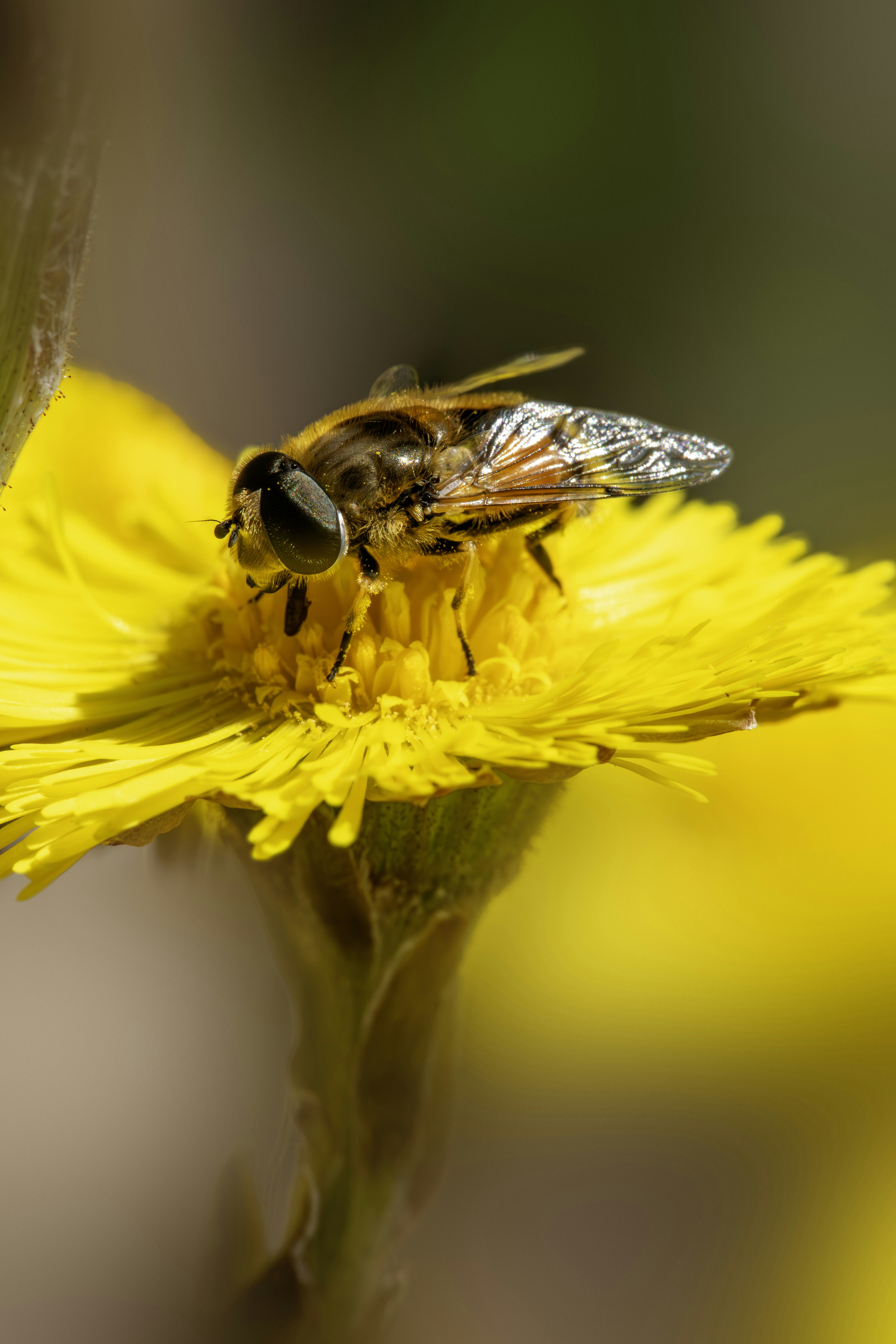 Photo by erik_karits