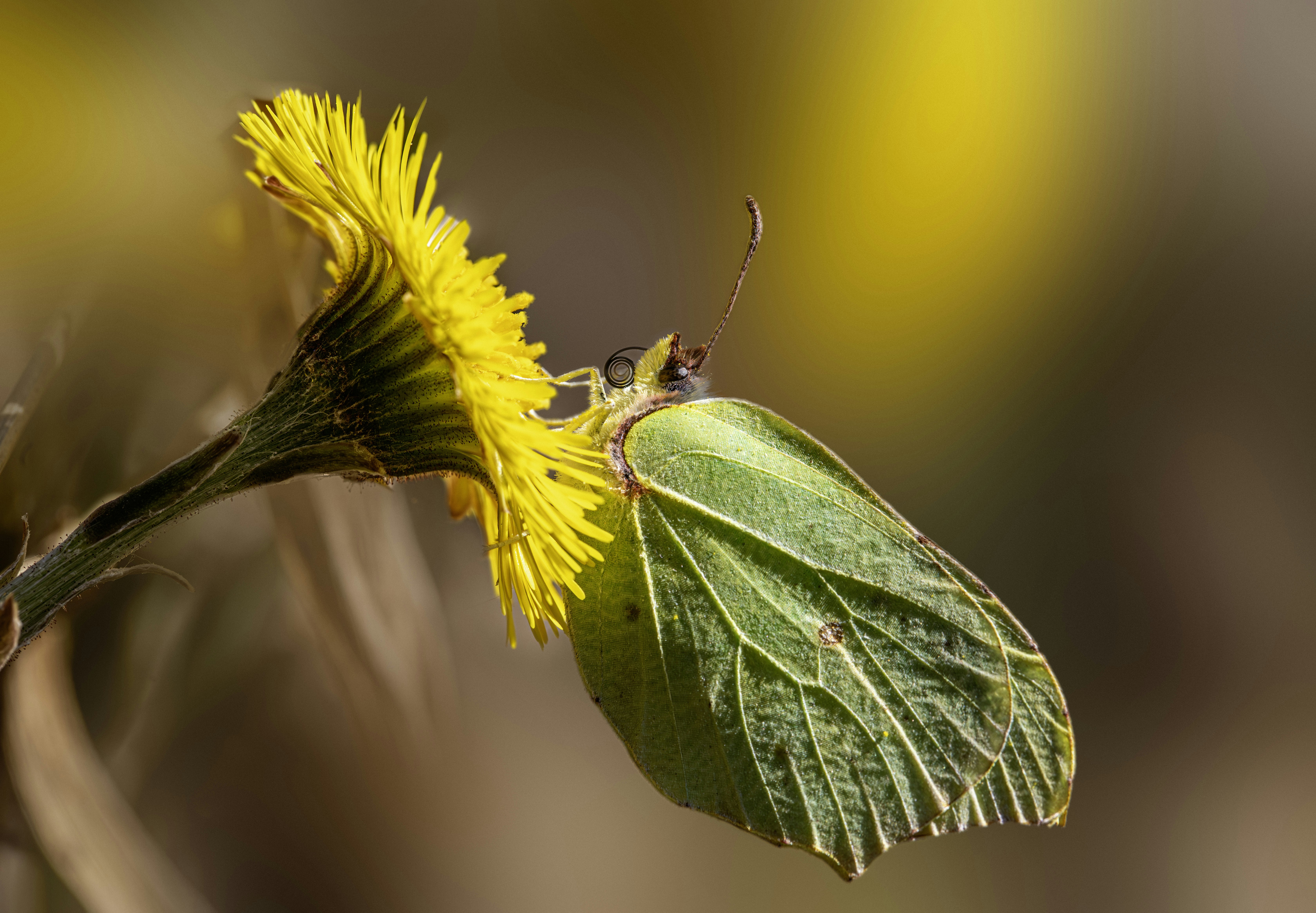 Photo by erik_karits