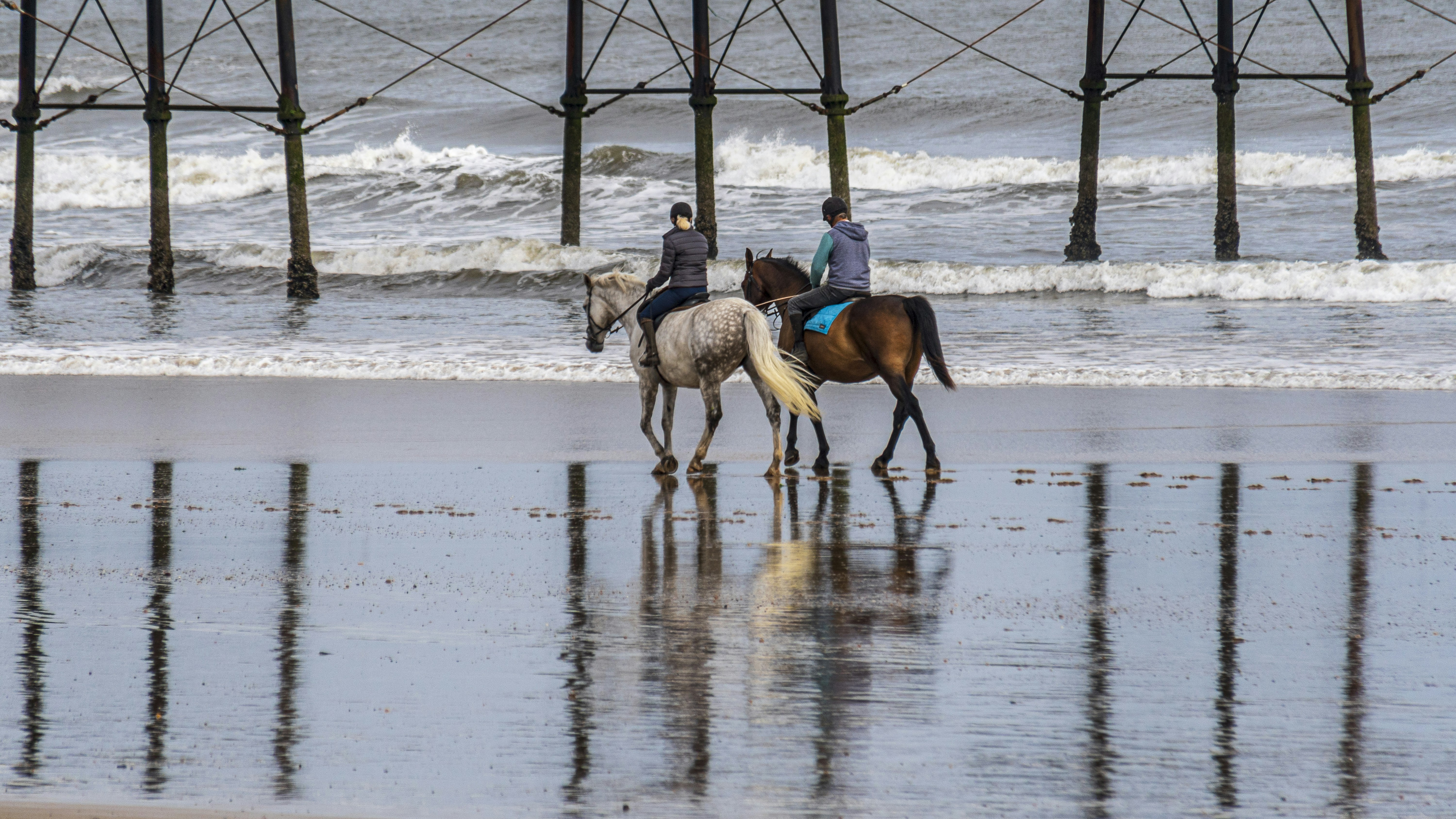 Riders enjoy a beach ride under a pier. photo – Free Beach Image on ...