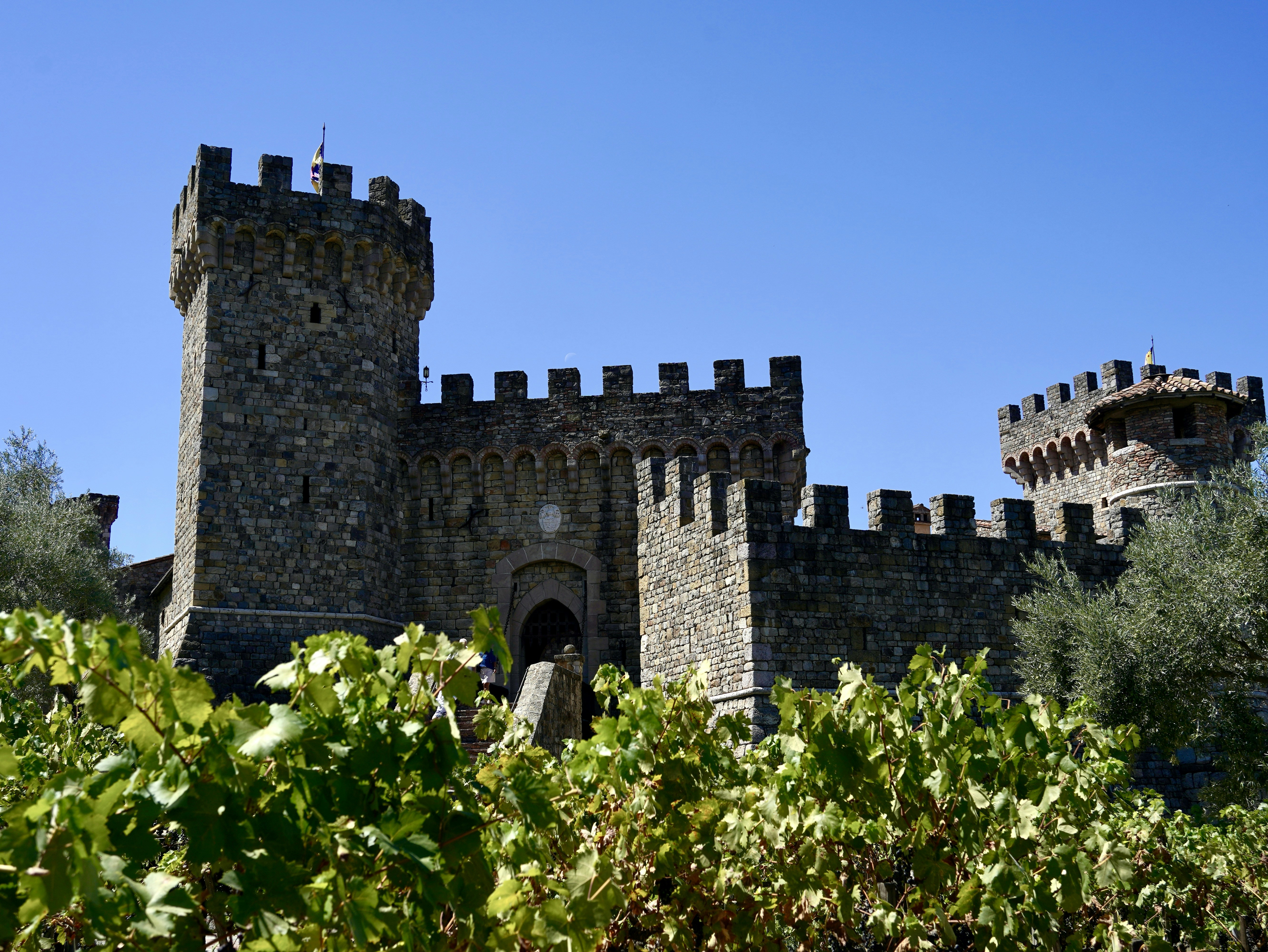 Photo by hollywoodpunk