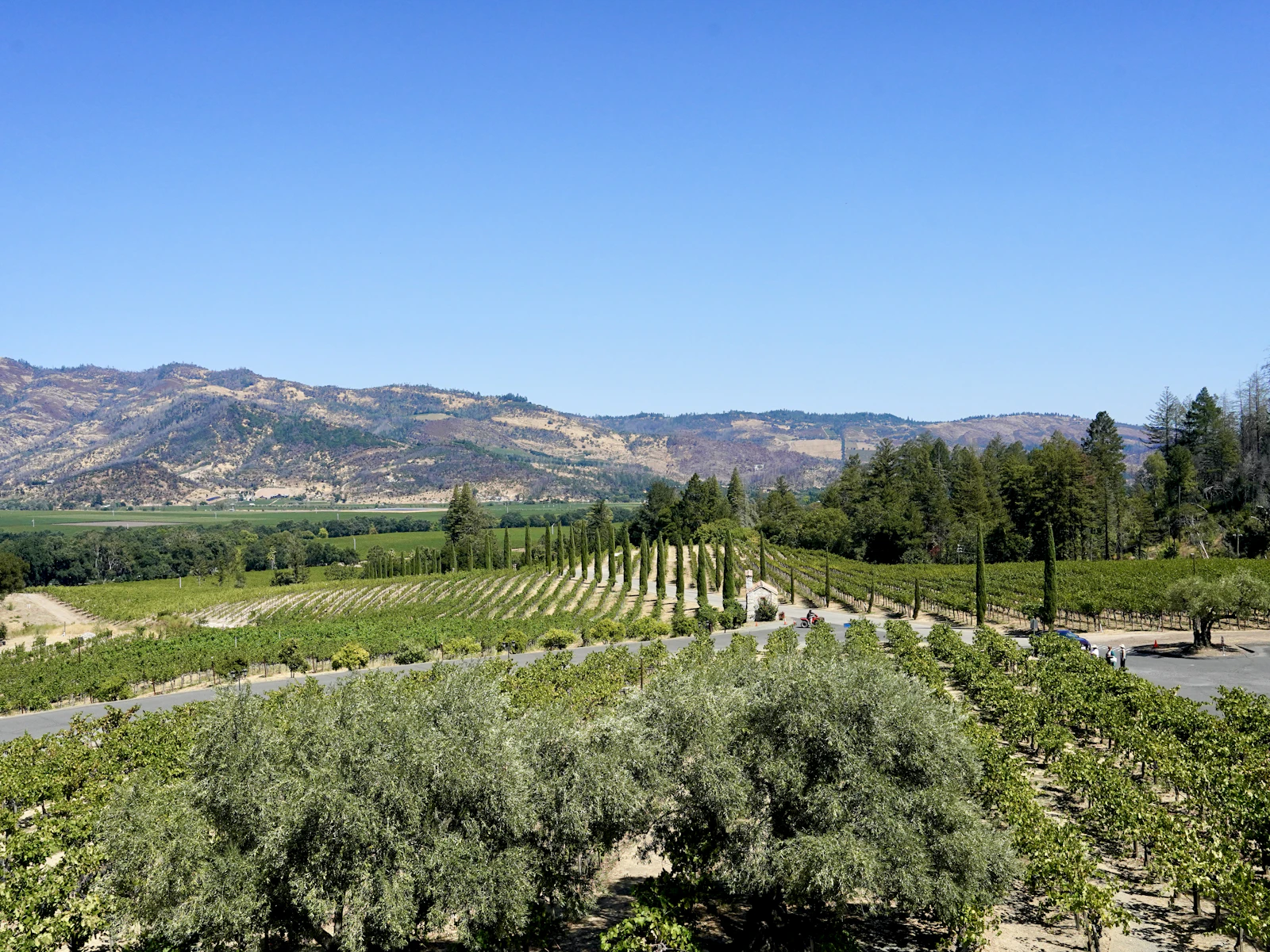 Four Seasons Resort and Residences Napa Valley