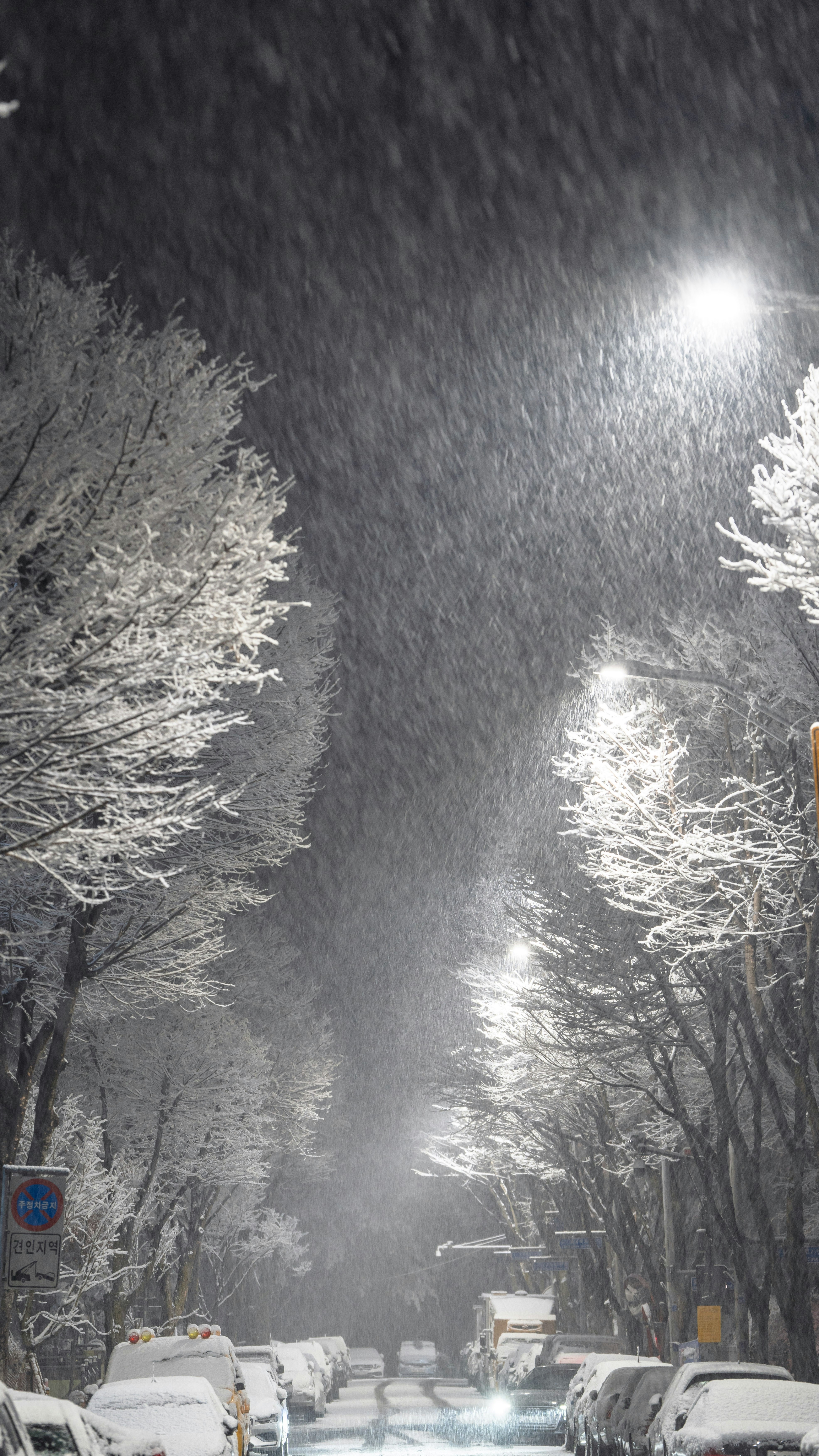 Photo by hyewonphotography