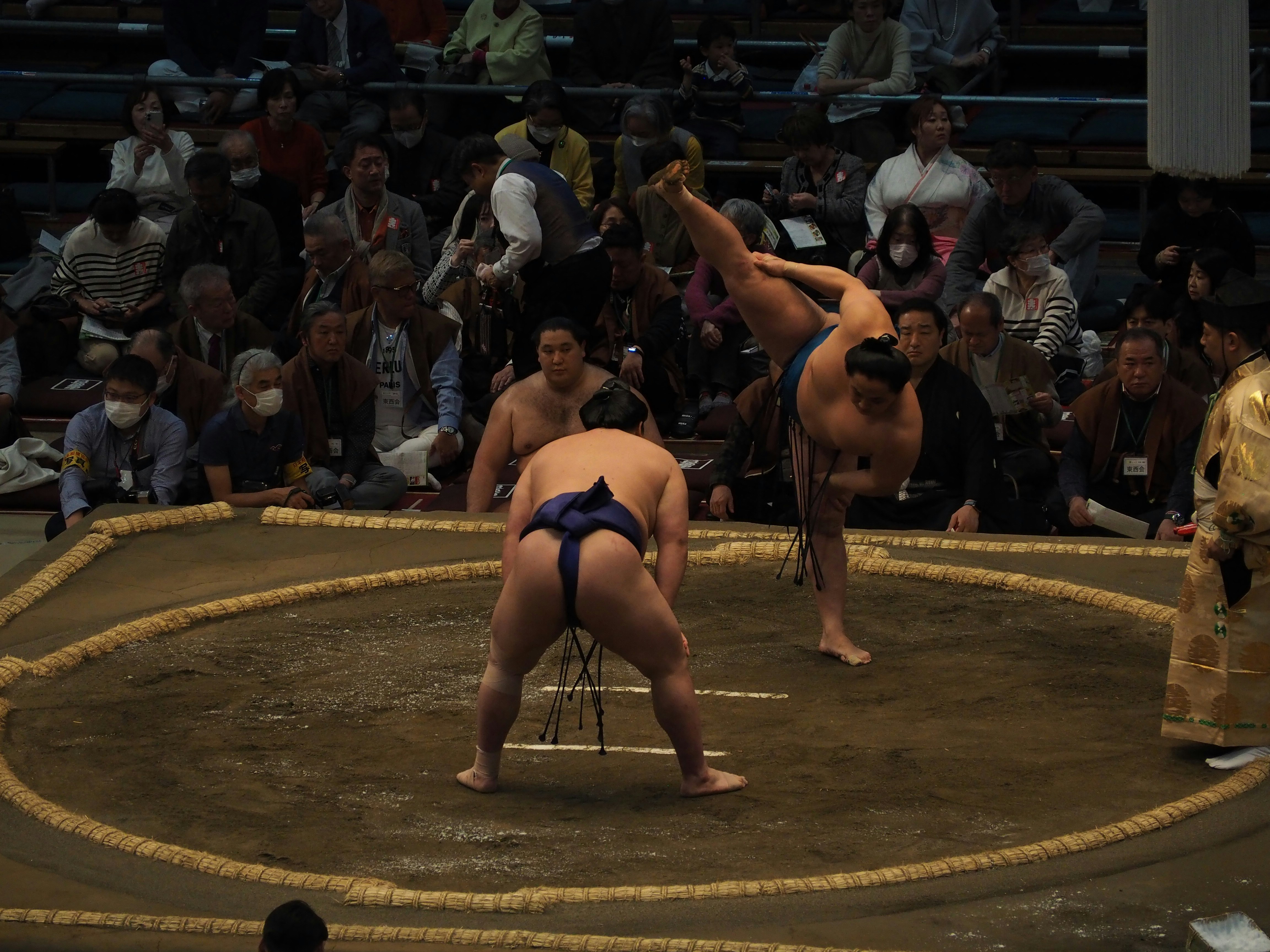 Pegulat sumo bersaing di atas ring selama pertandingan.