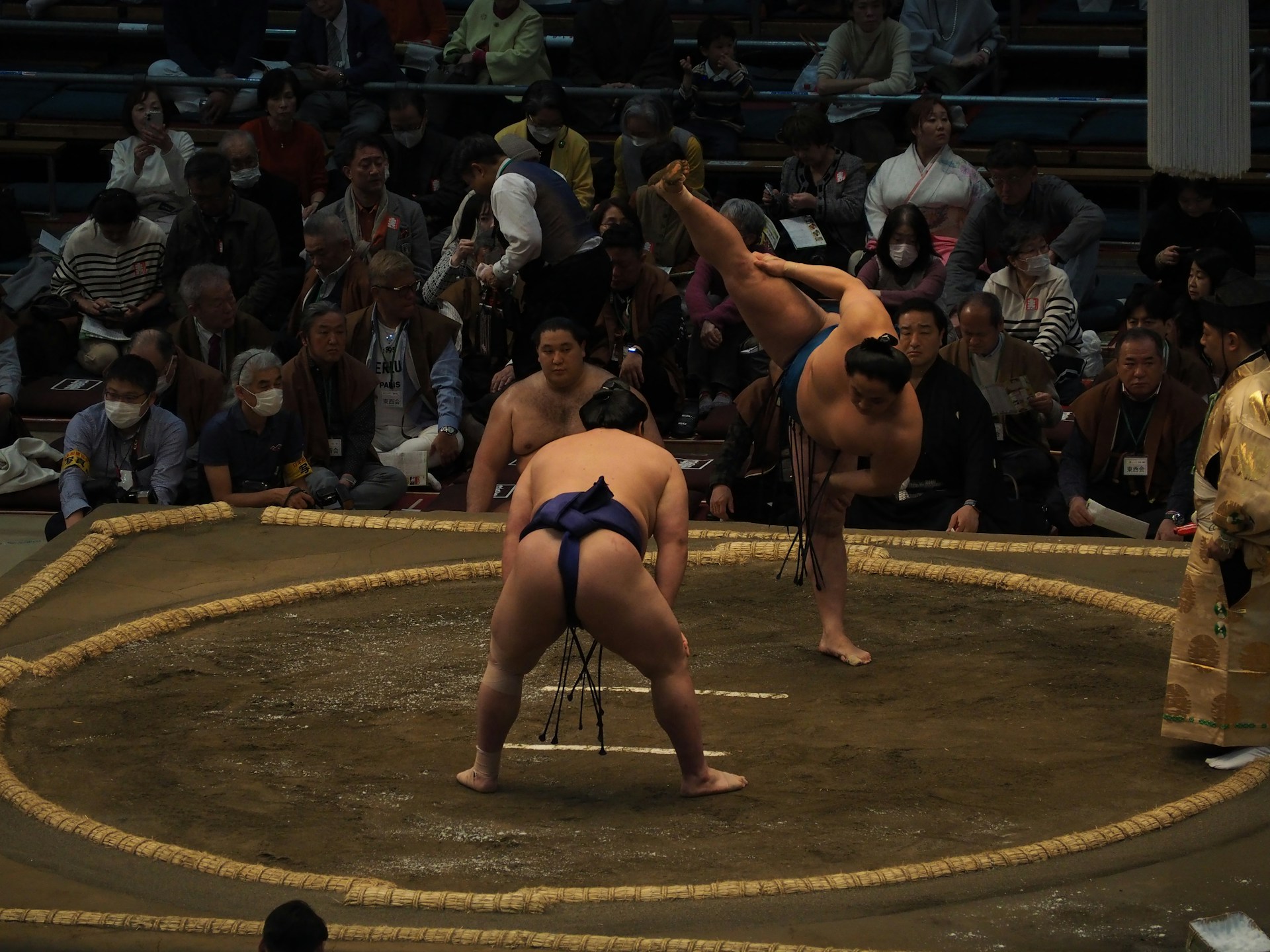 Sumo wrestlers compete in a ring during a match.