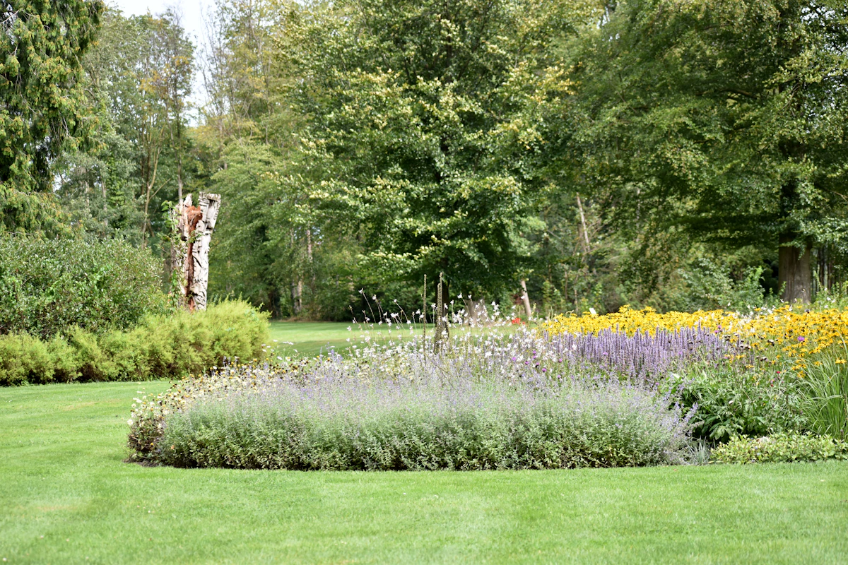 A landscaped garden with flower beds and mature trees