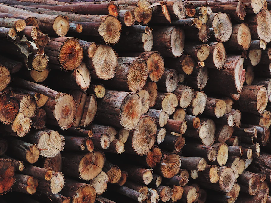 Hardwood timber logs and stock