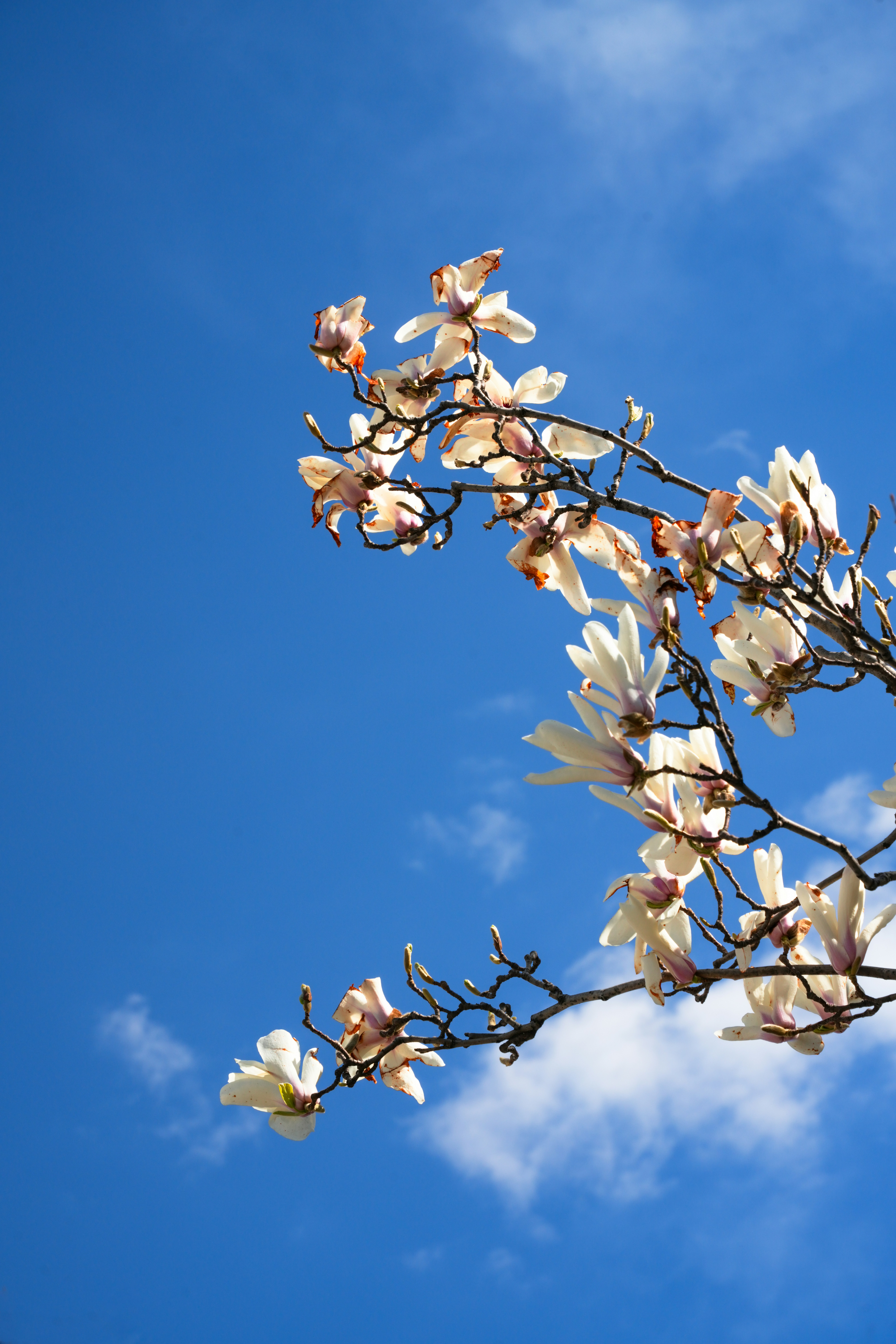 Photo by hattrick1996