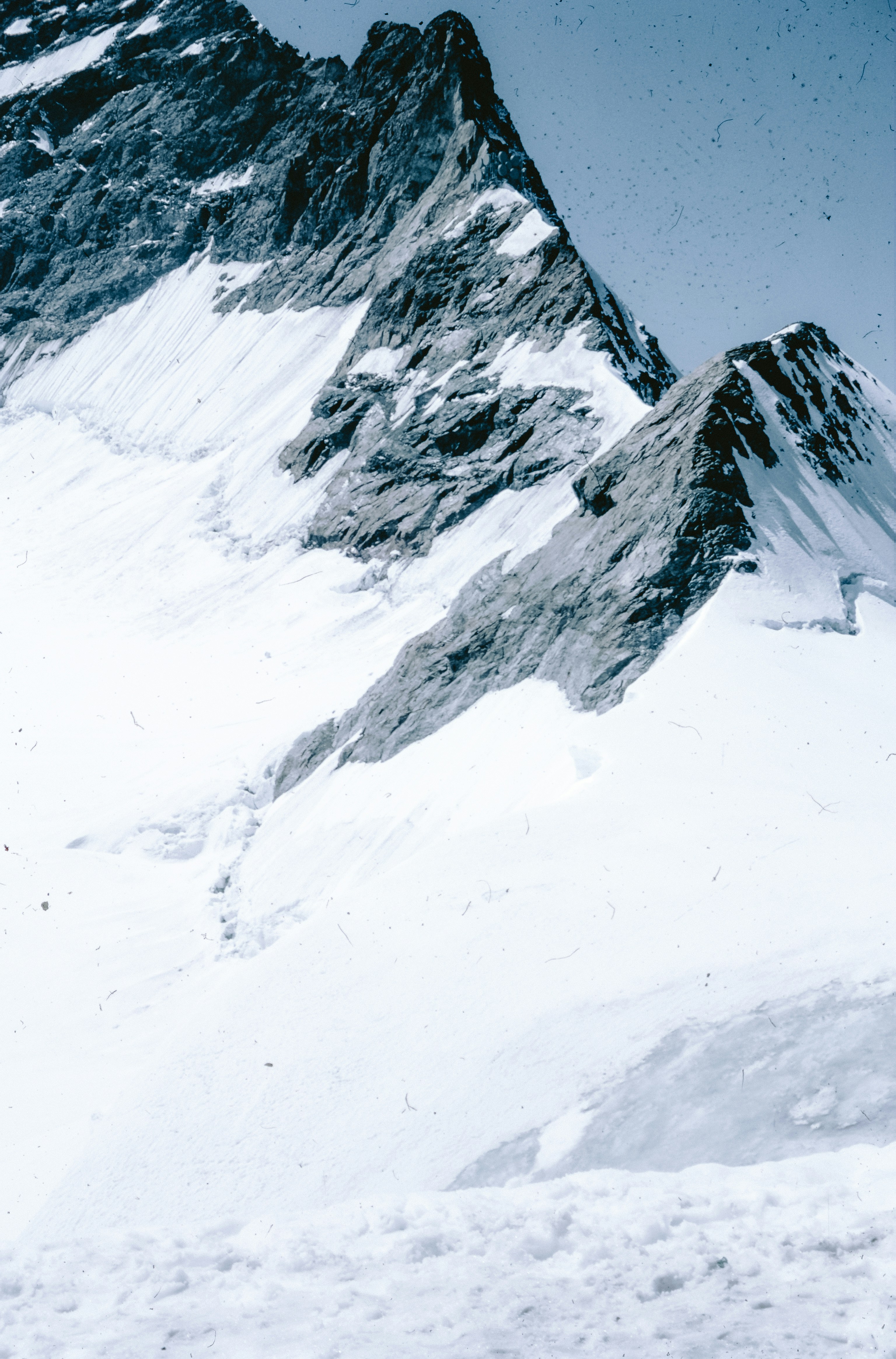 Photo by anniespratt