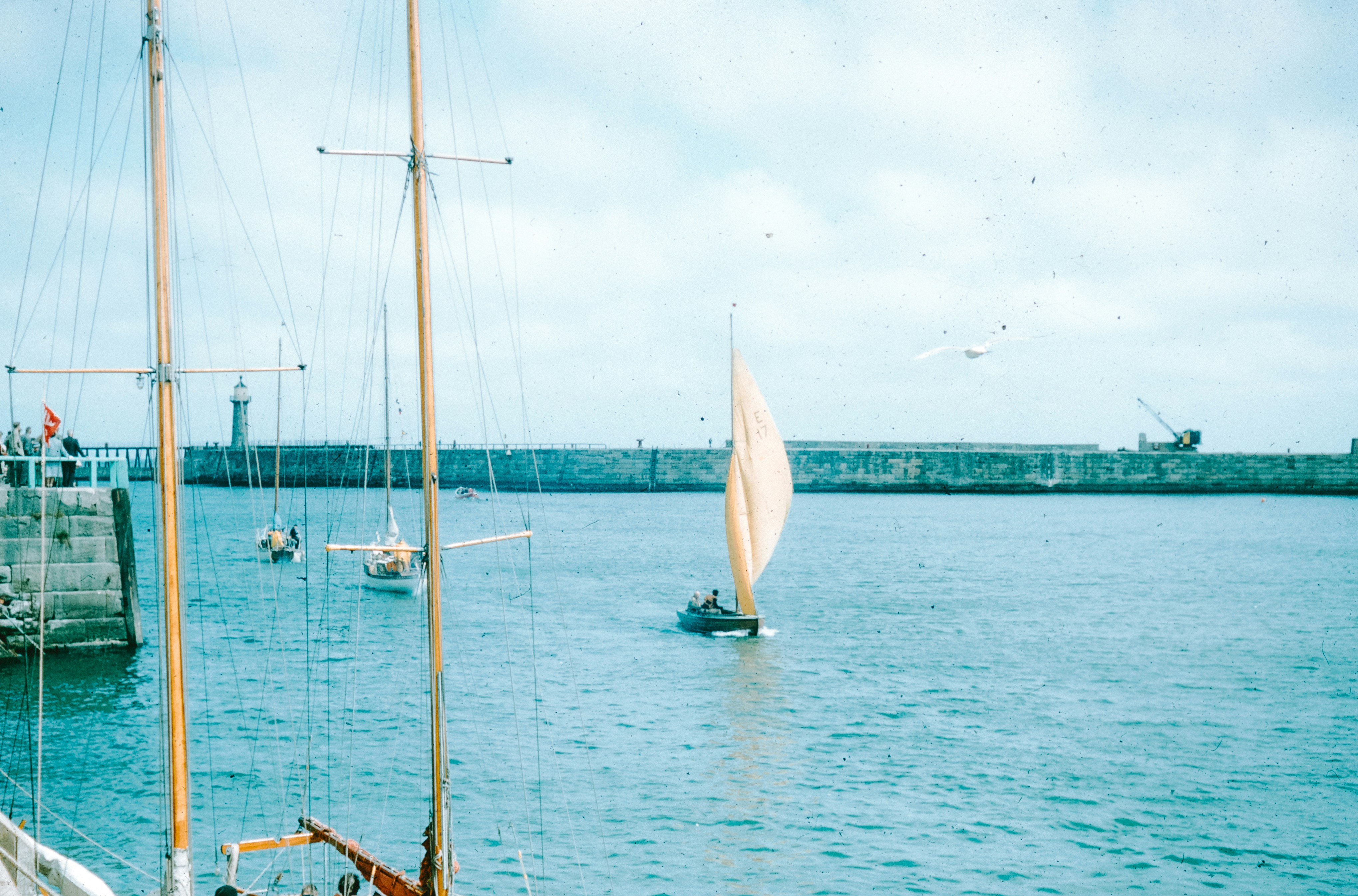 Photo by anniespratt