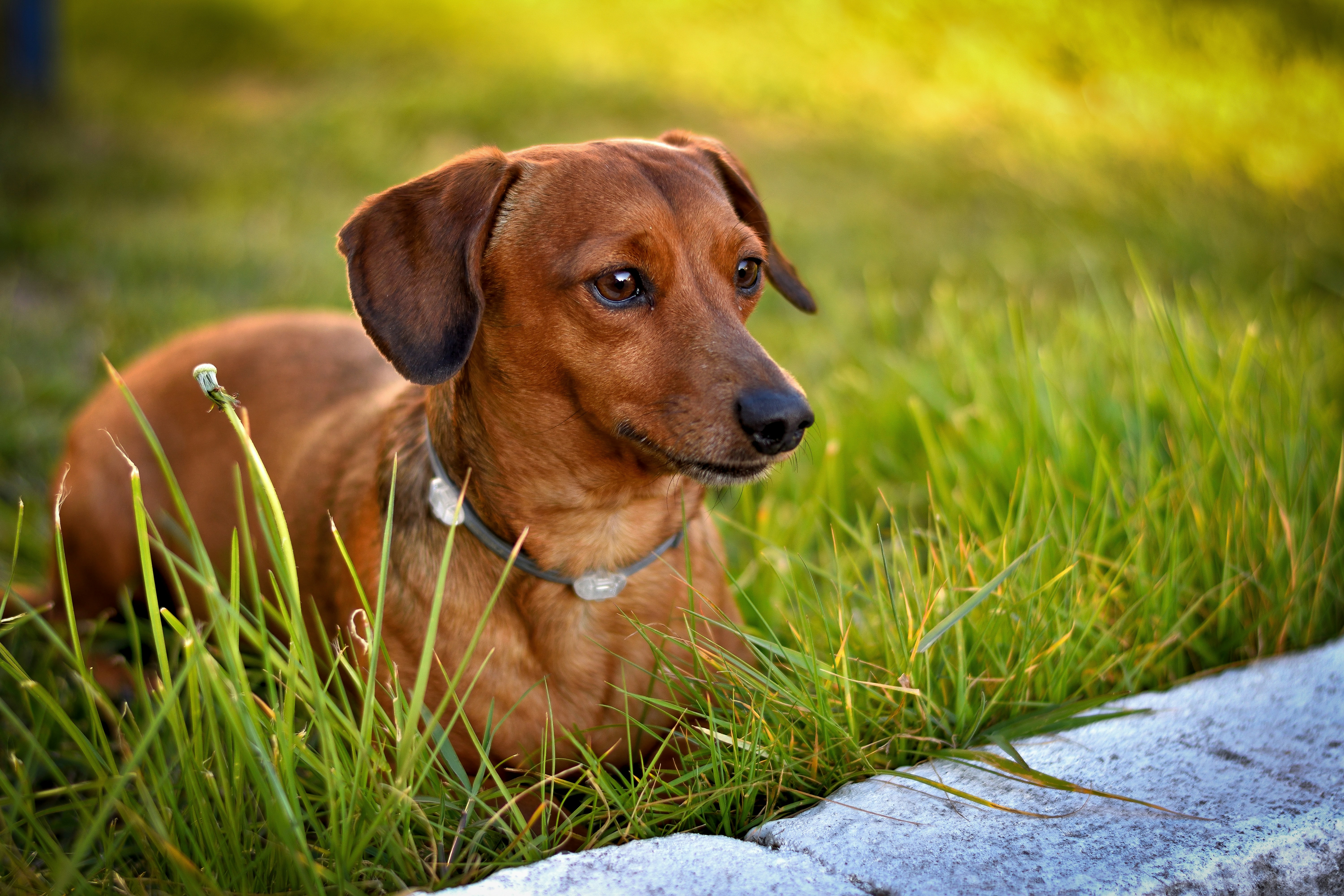 Photo by javiera_neira_f