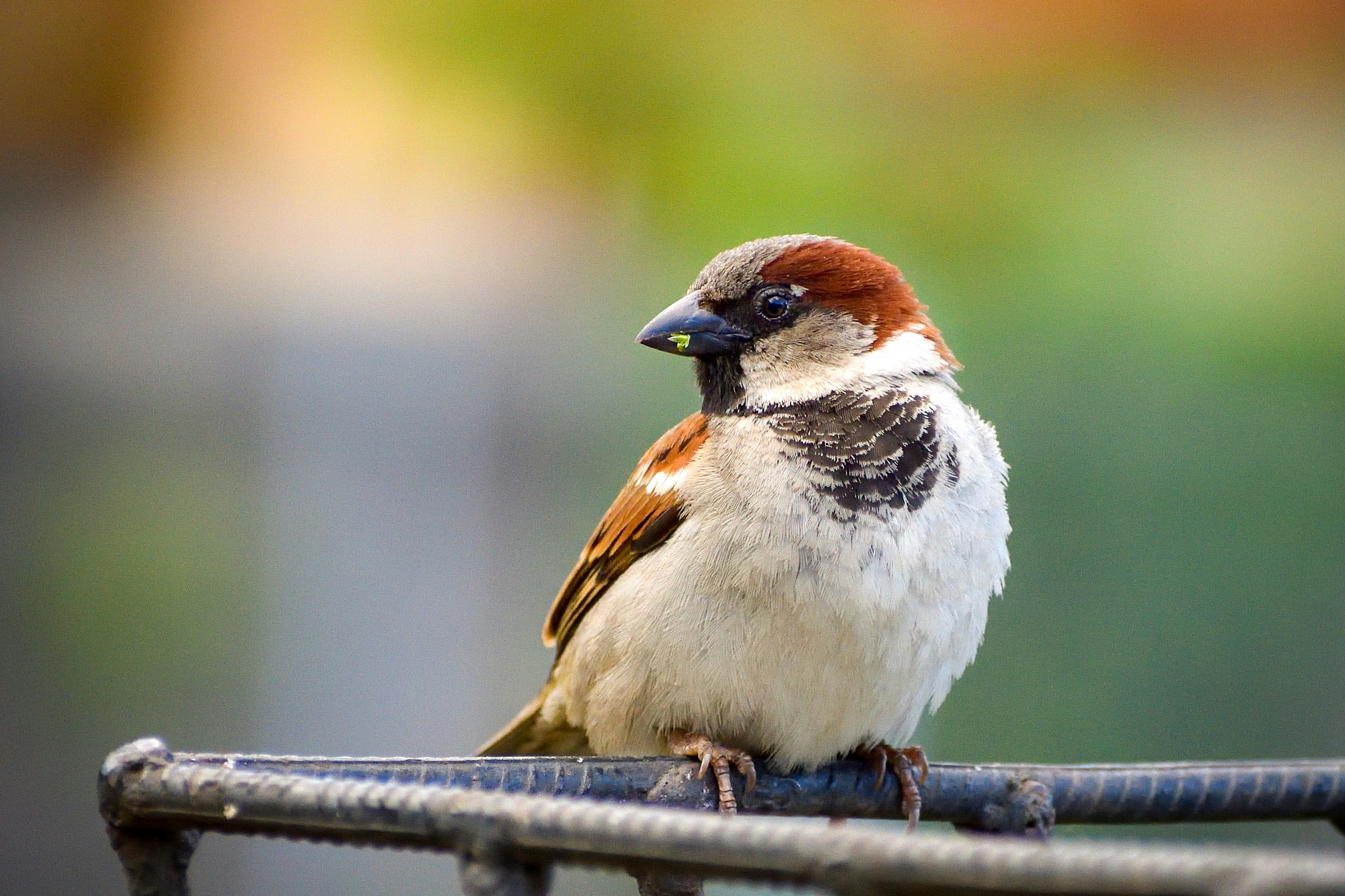 Photo by javiera_neira_f