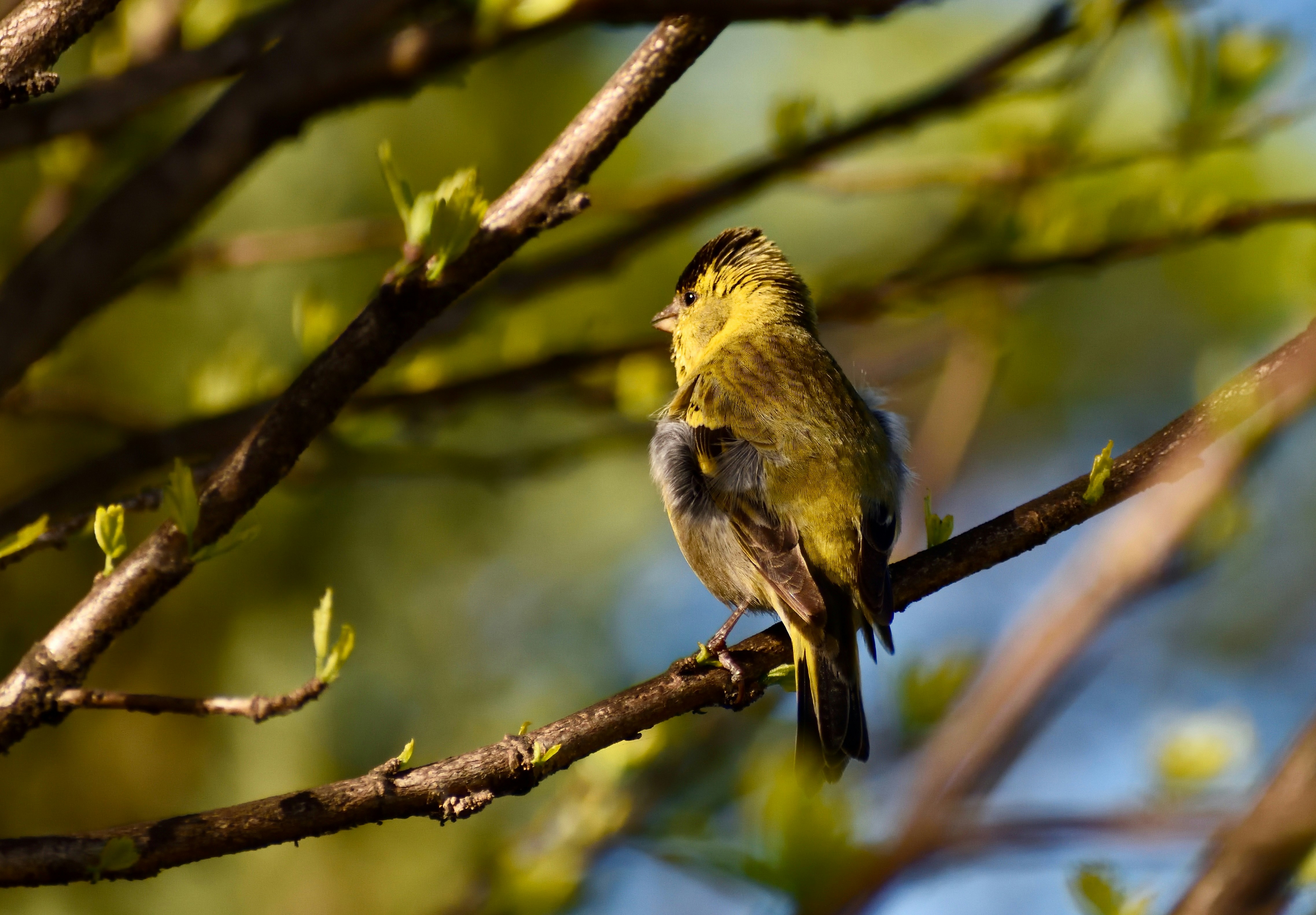 Photo by javiera_neira_f