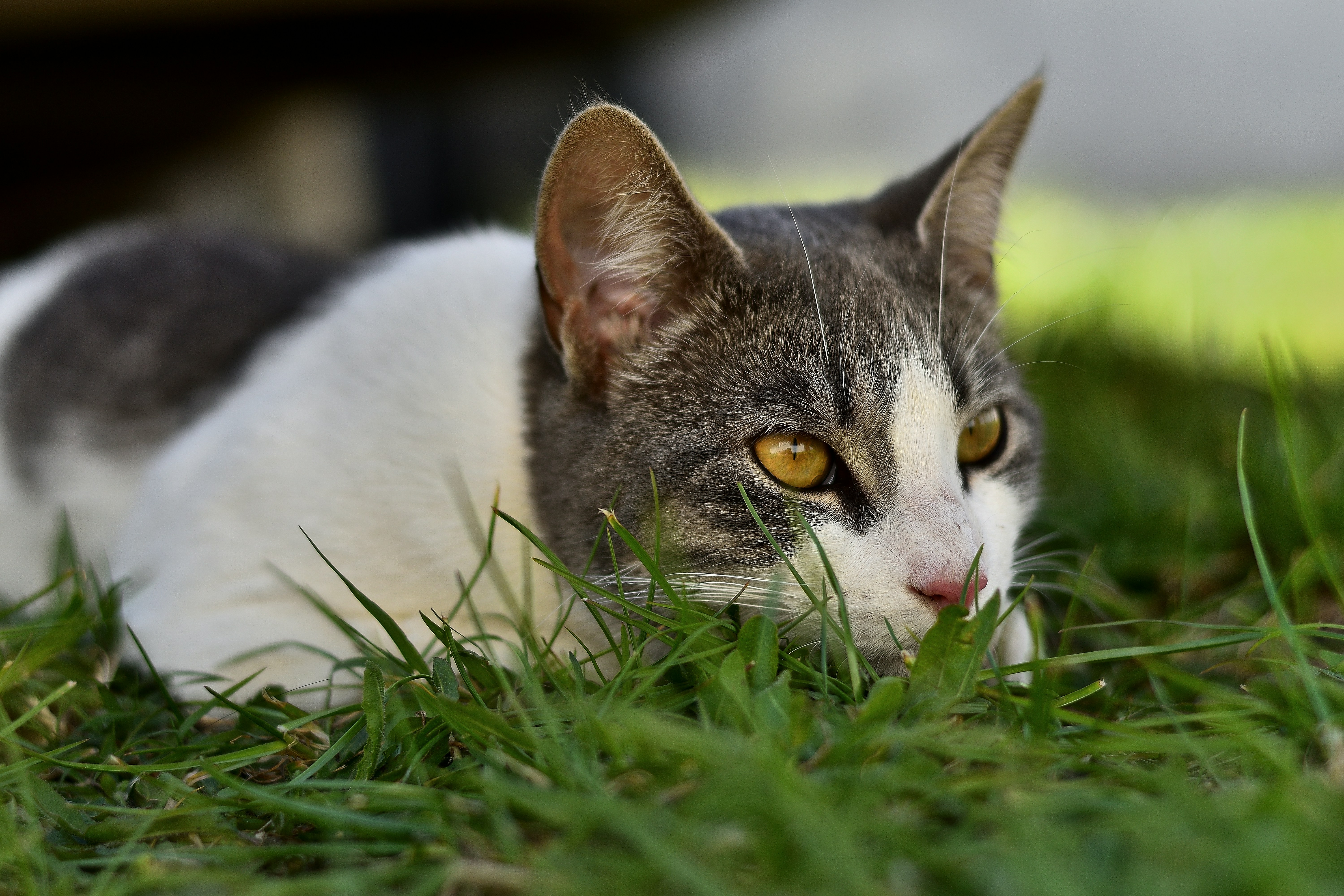 Photo by javiera_neira_f